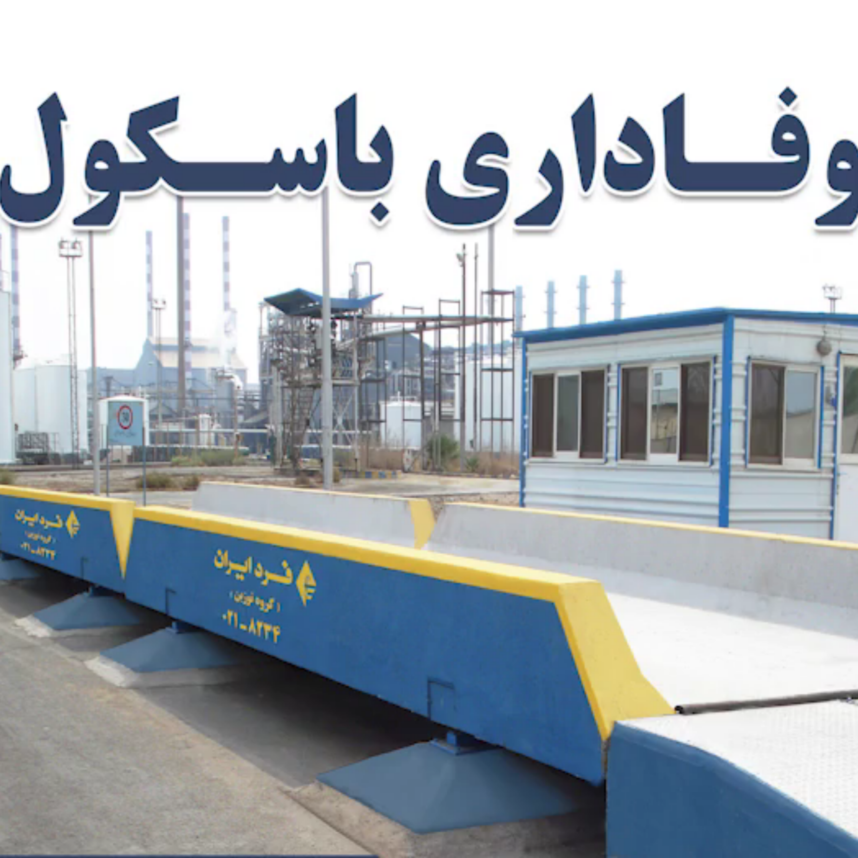کاور وفاداری باسکول