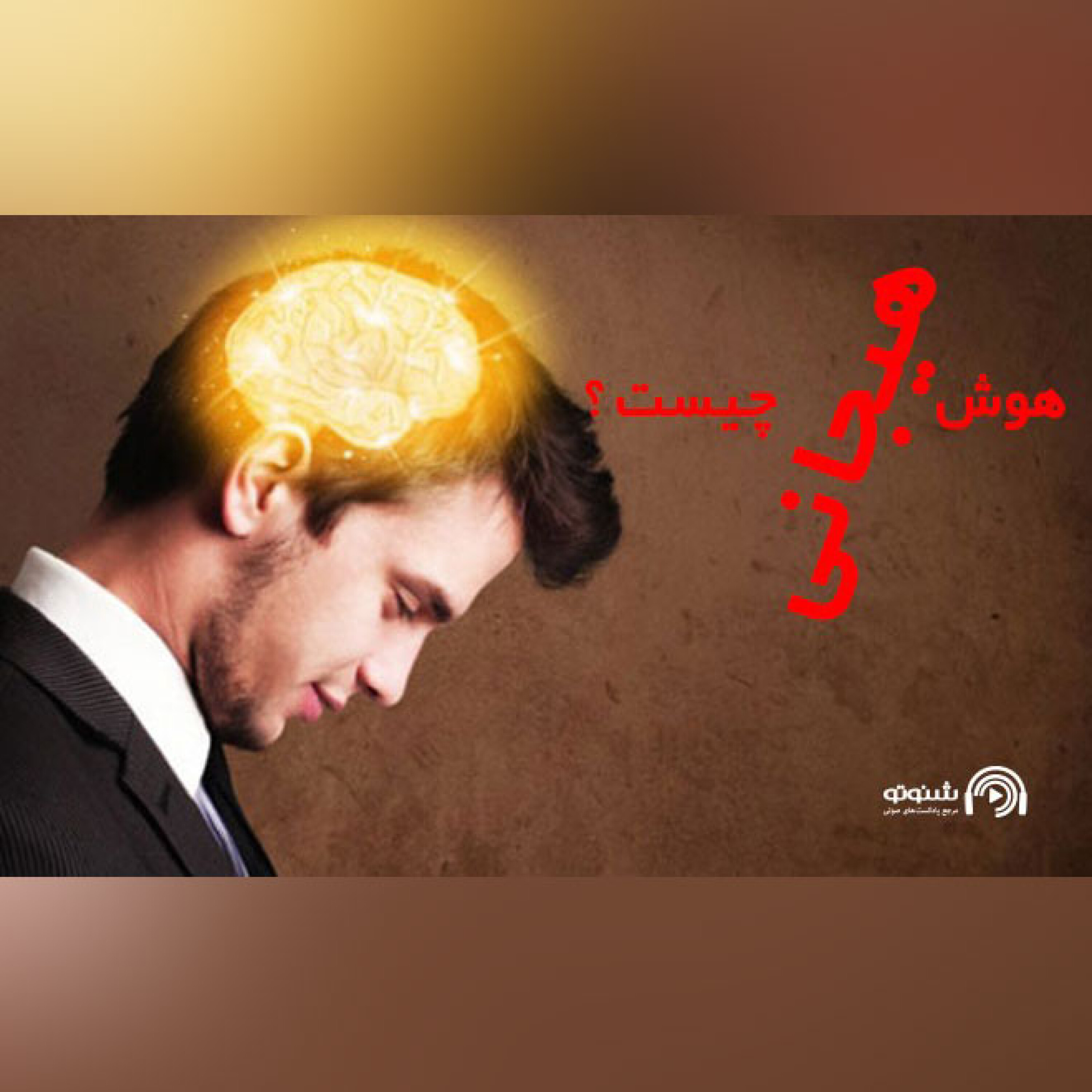 کاور هوش هیجانی