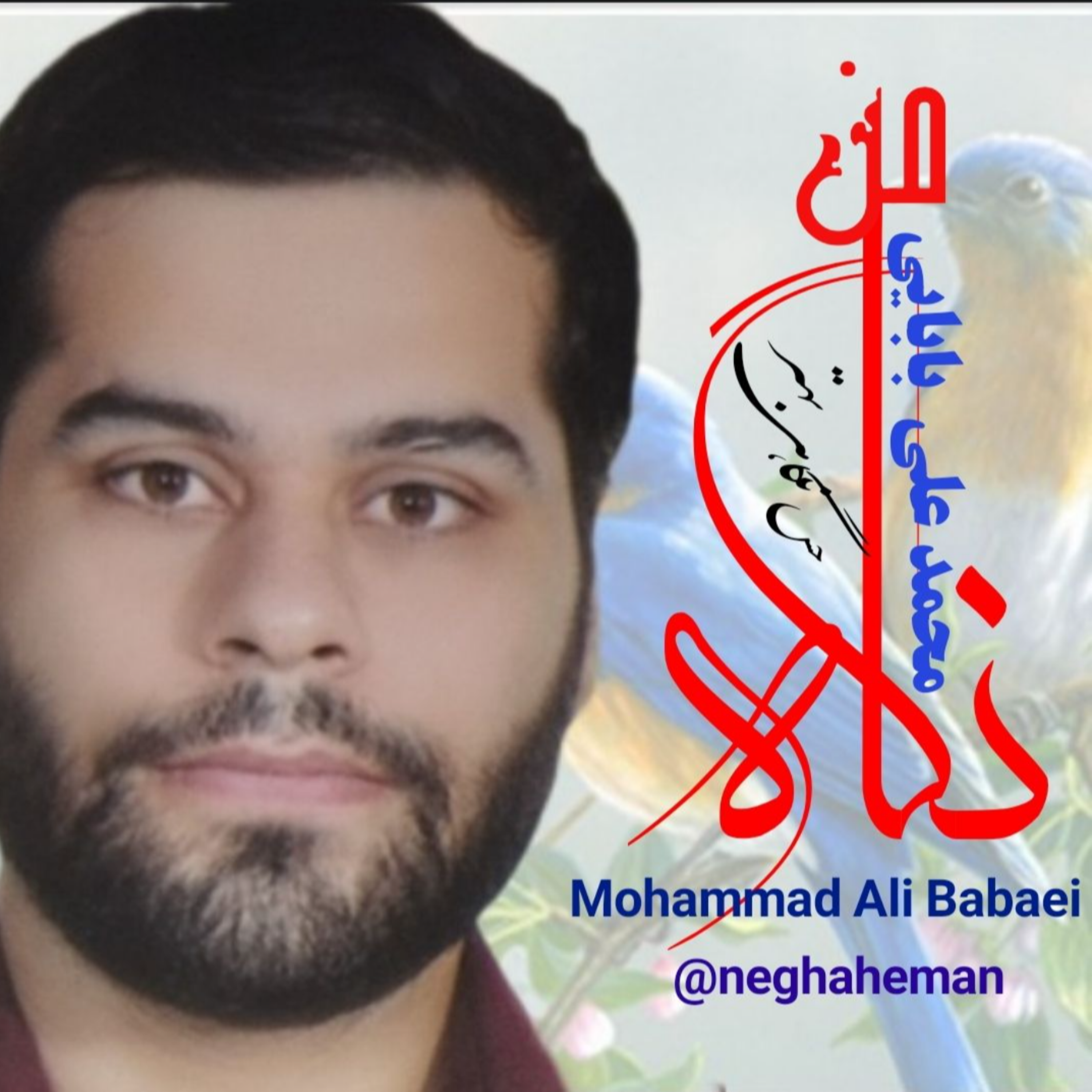 کاور به نگاه شما ادب به چه معناست؟!