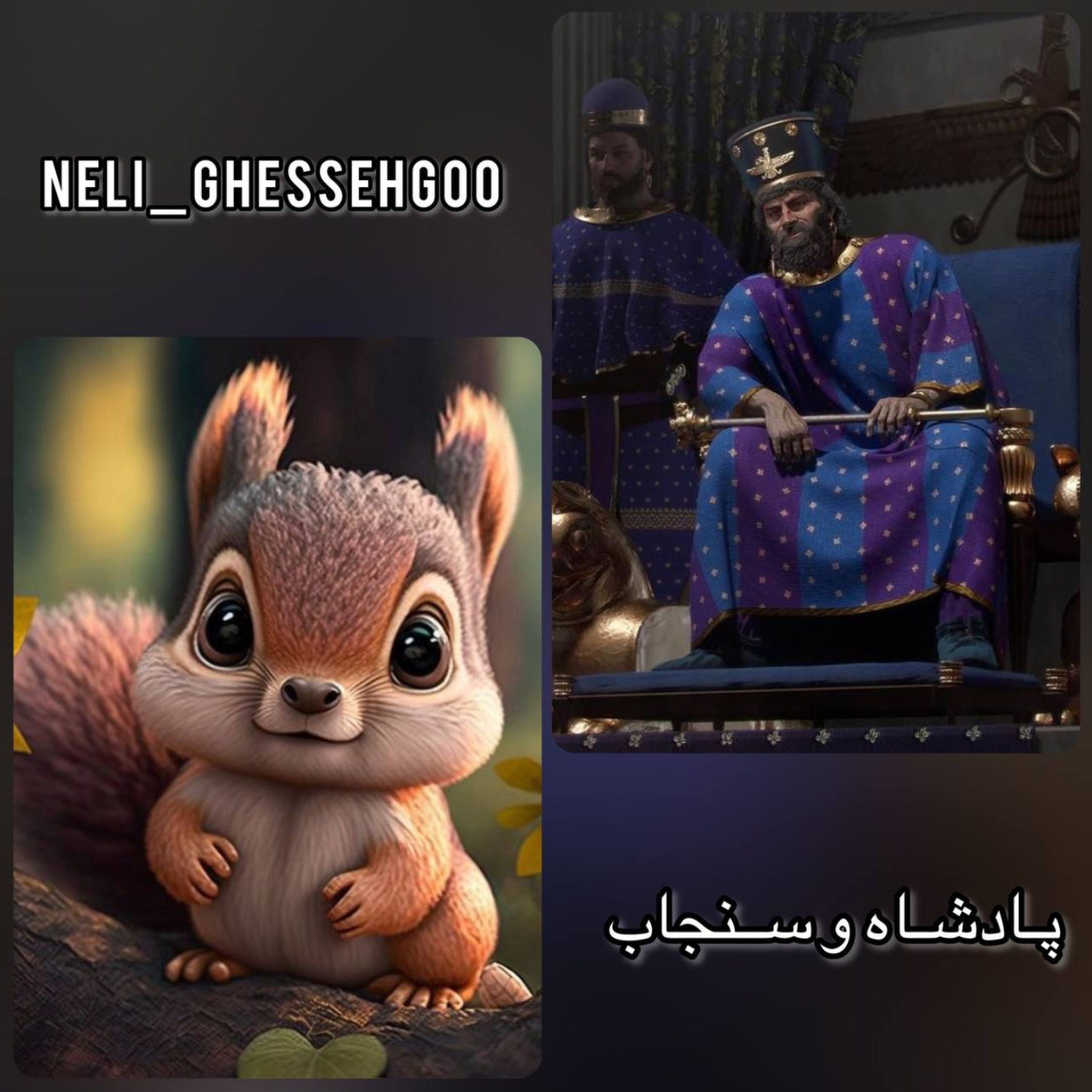 نلی قصه گو