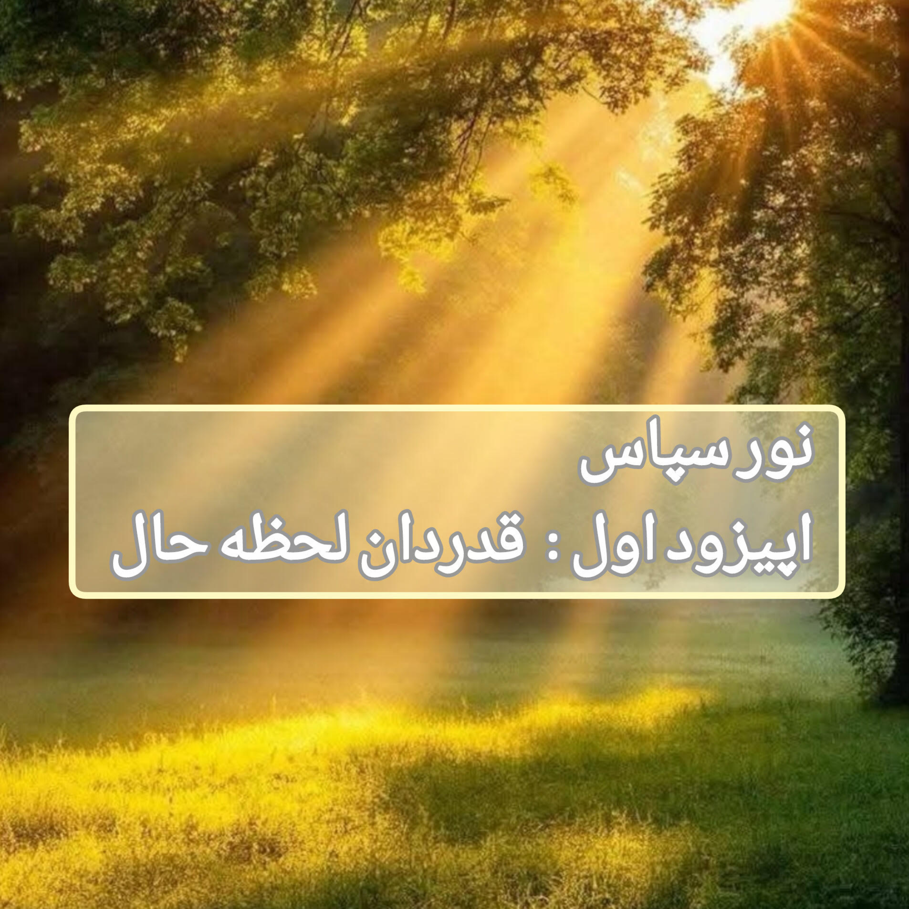 کاور قدردان لحظه حال