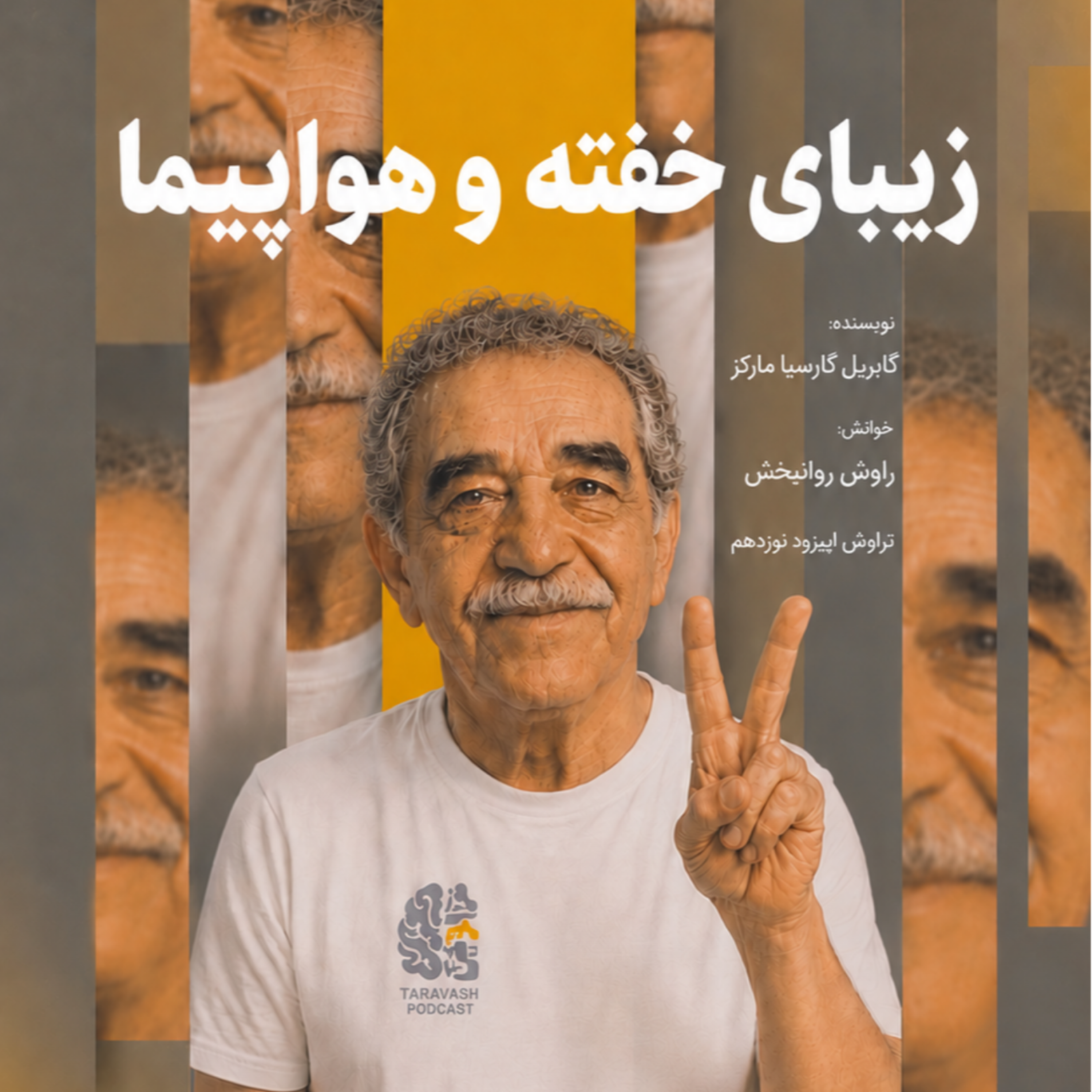 کاور 19.زیبای خفته و هواپیما