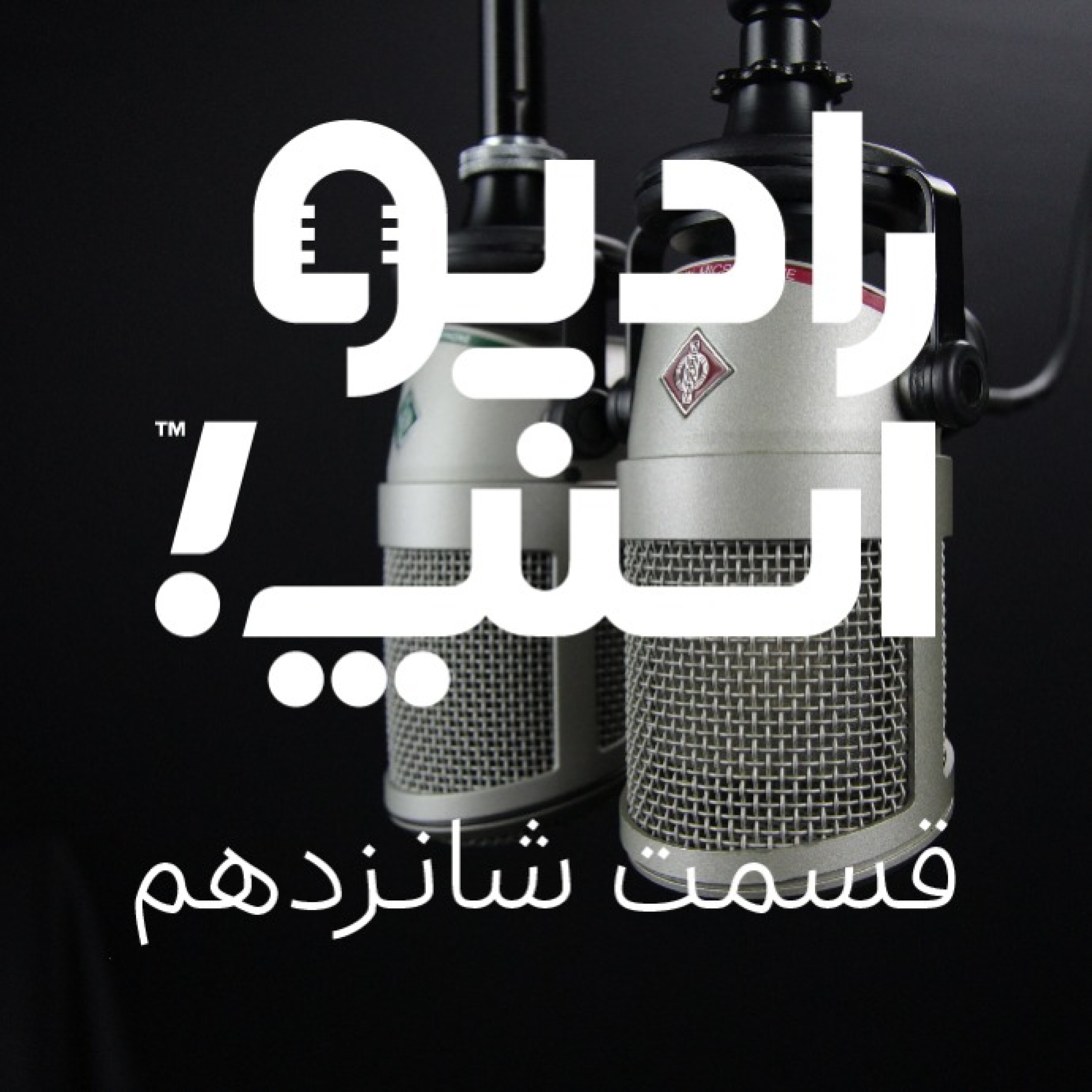 رادیو اسنپ؛ سهمیه بنزین، ویژه کاربران راننده اسنپ