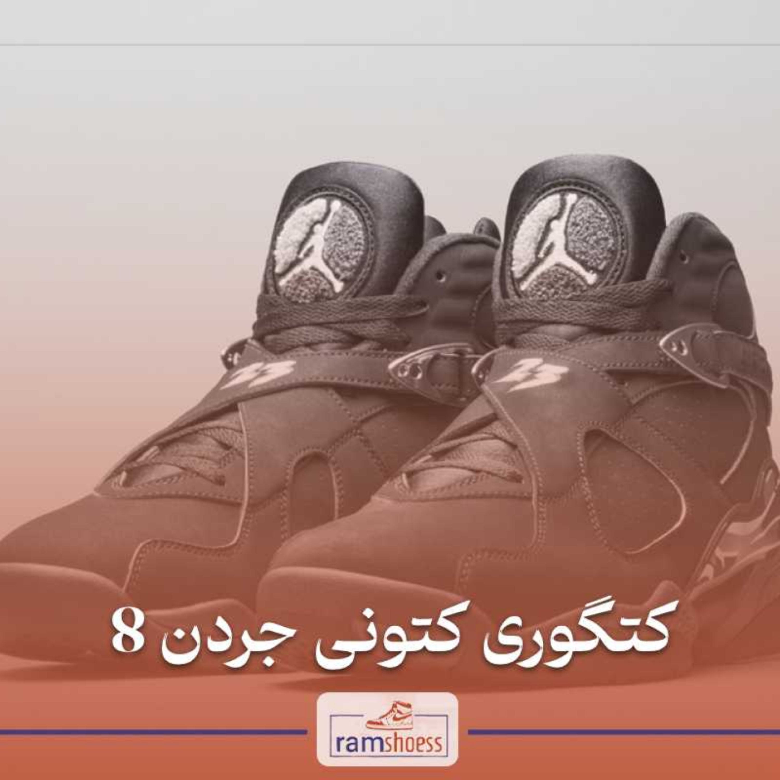 کاور کتونی جردن 8