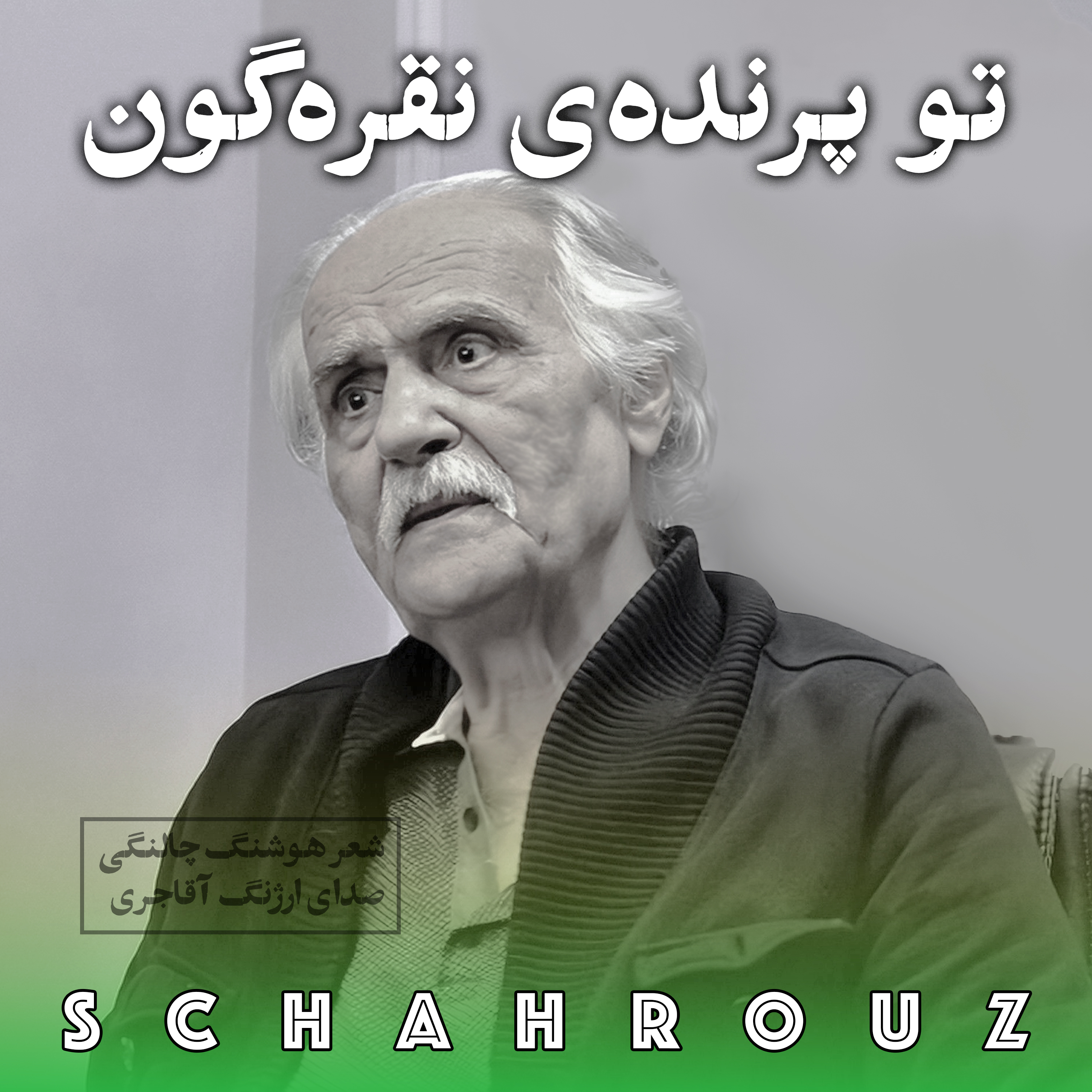 کاور هوشنگ چالنگی | تو پرنده‌ی نقره‌گون