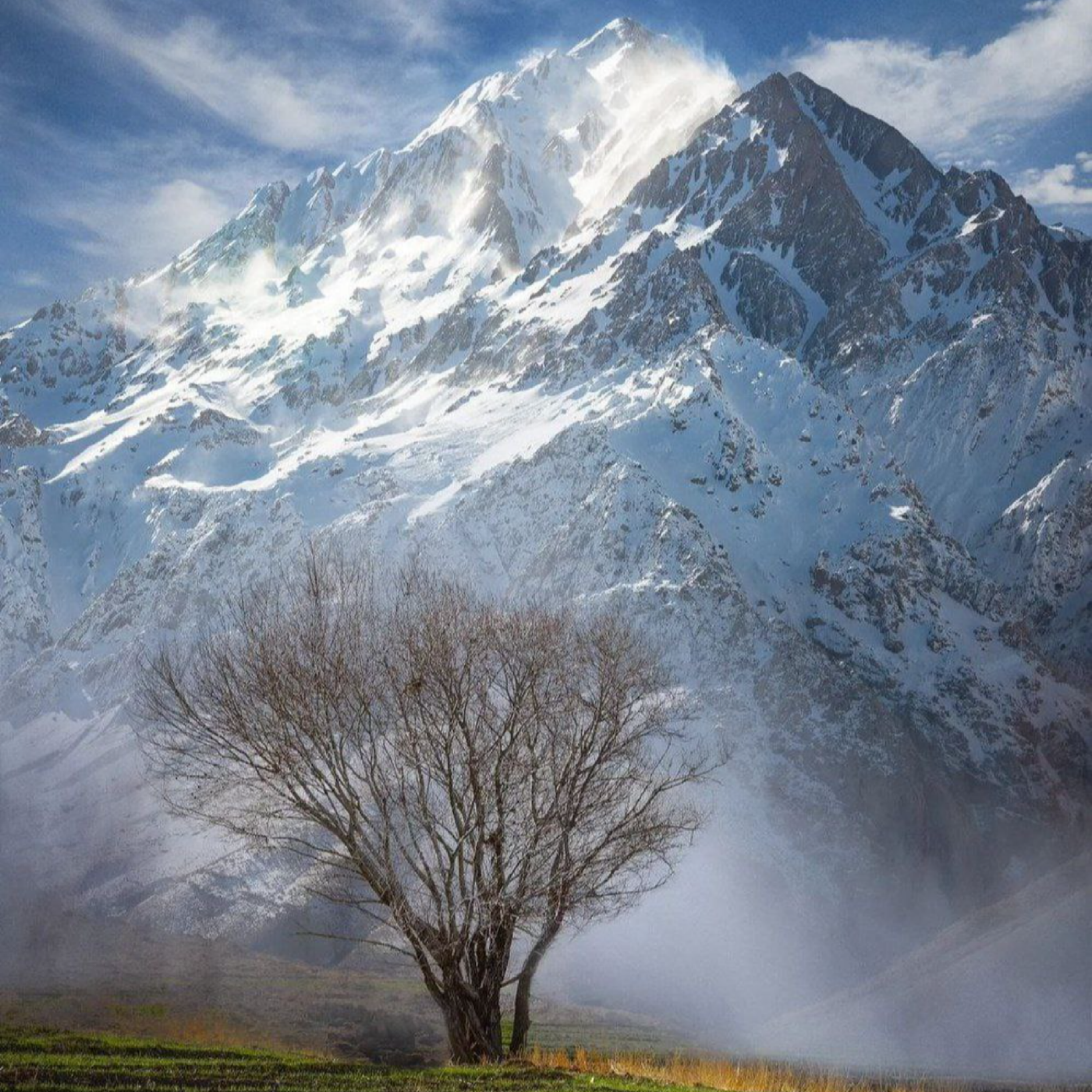 کاور Spring