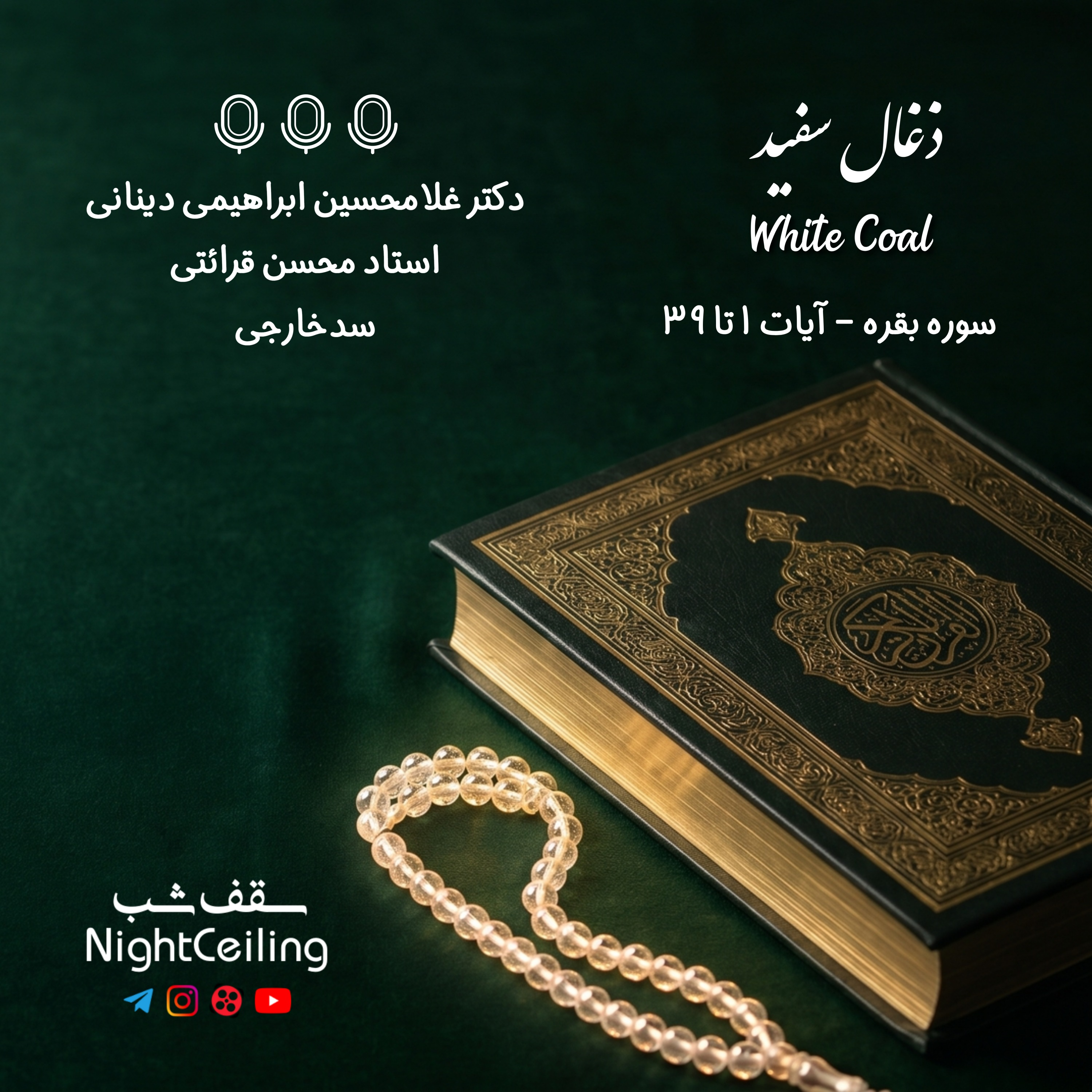 کاور آیا ما ذغال سفید هم داریم !؟