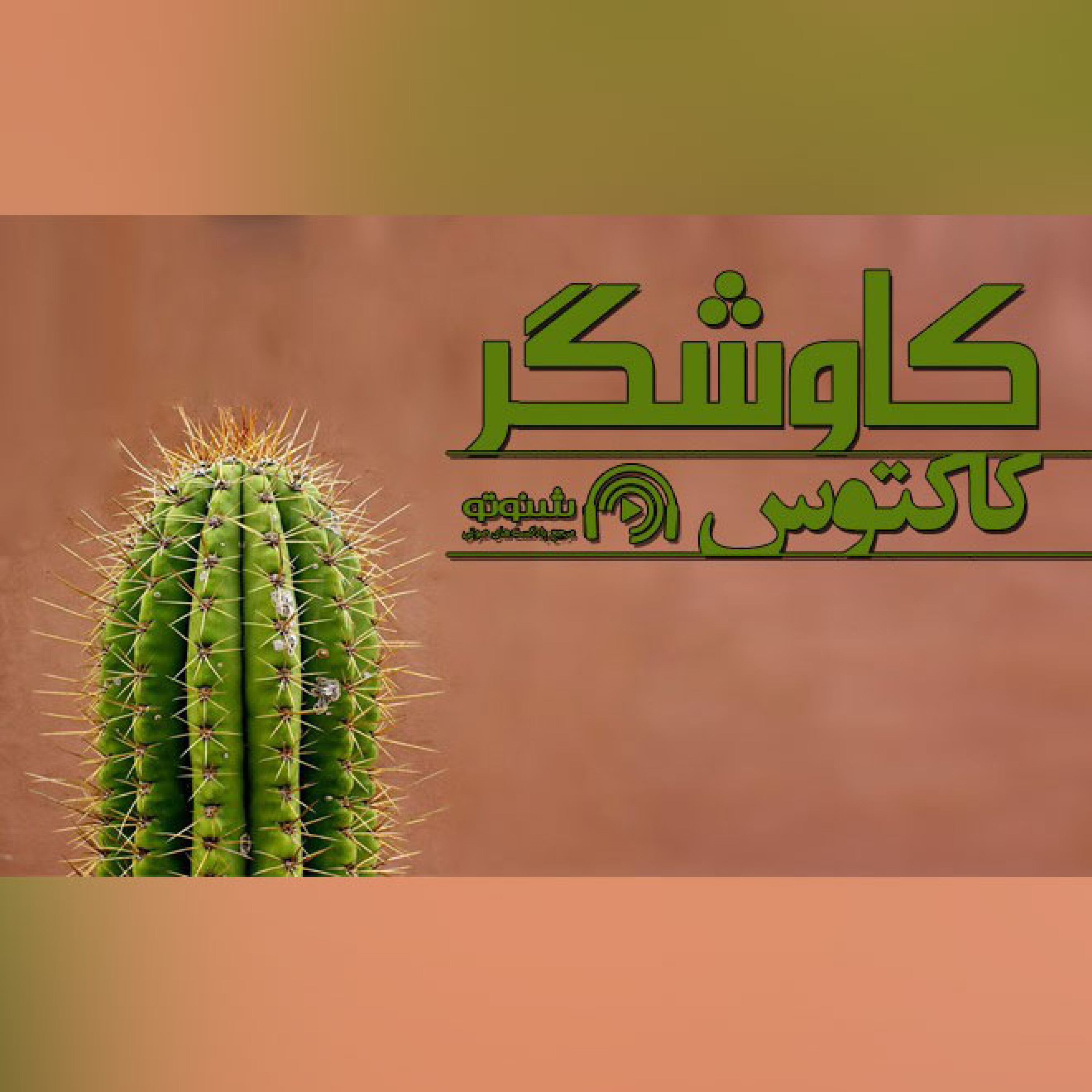 کاکتوس