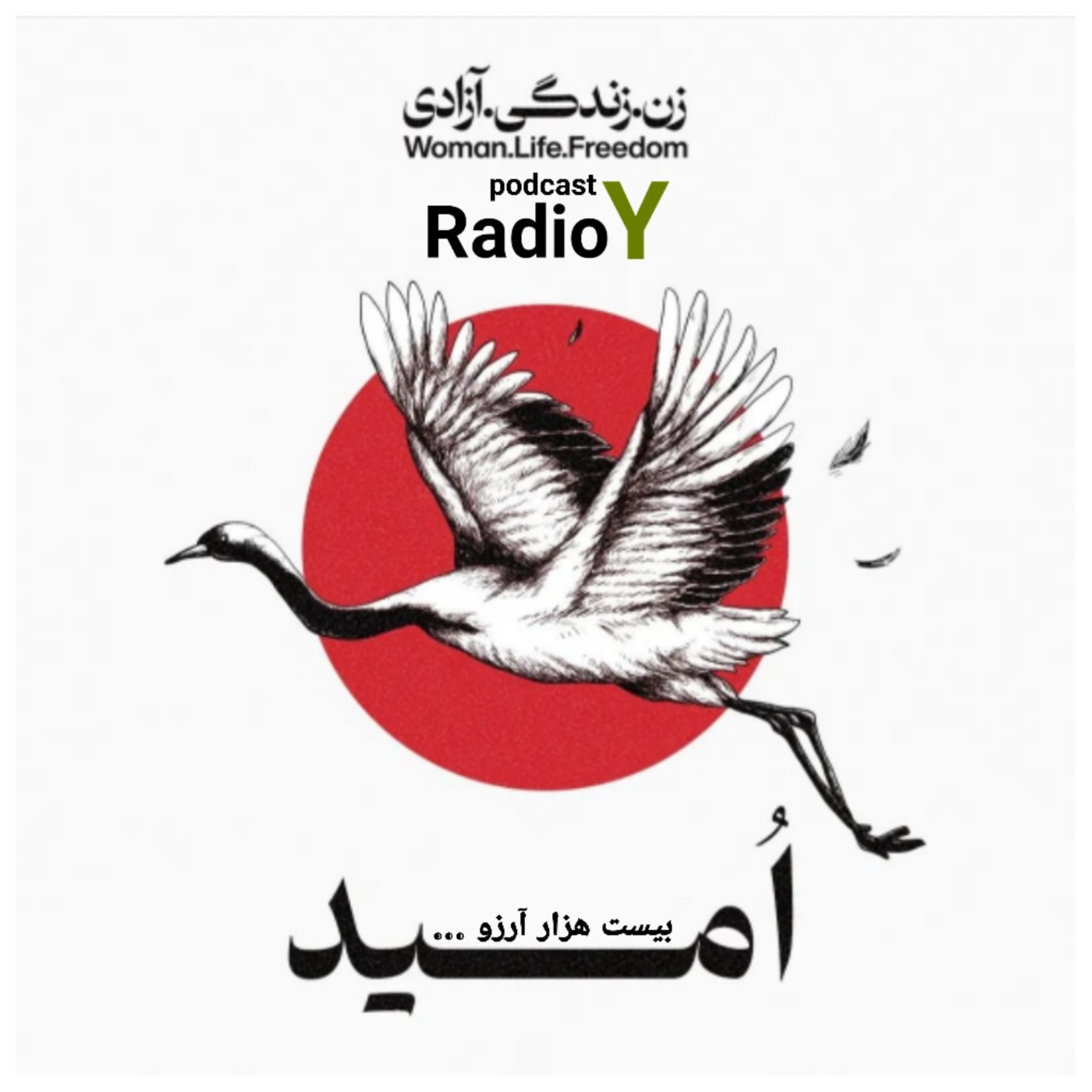 کاور رادیو وای - امید: بیست هزار آرزو