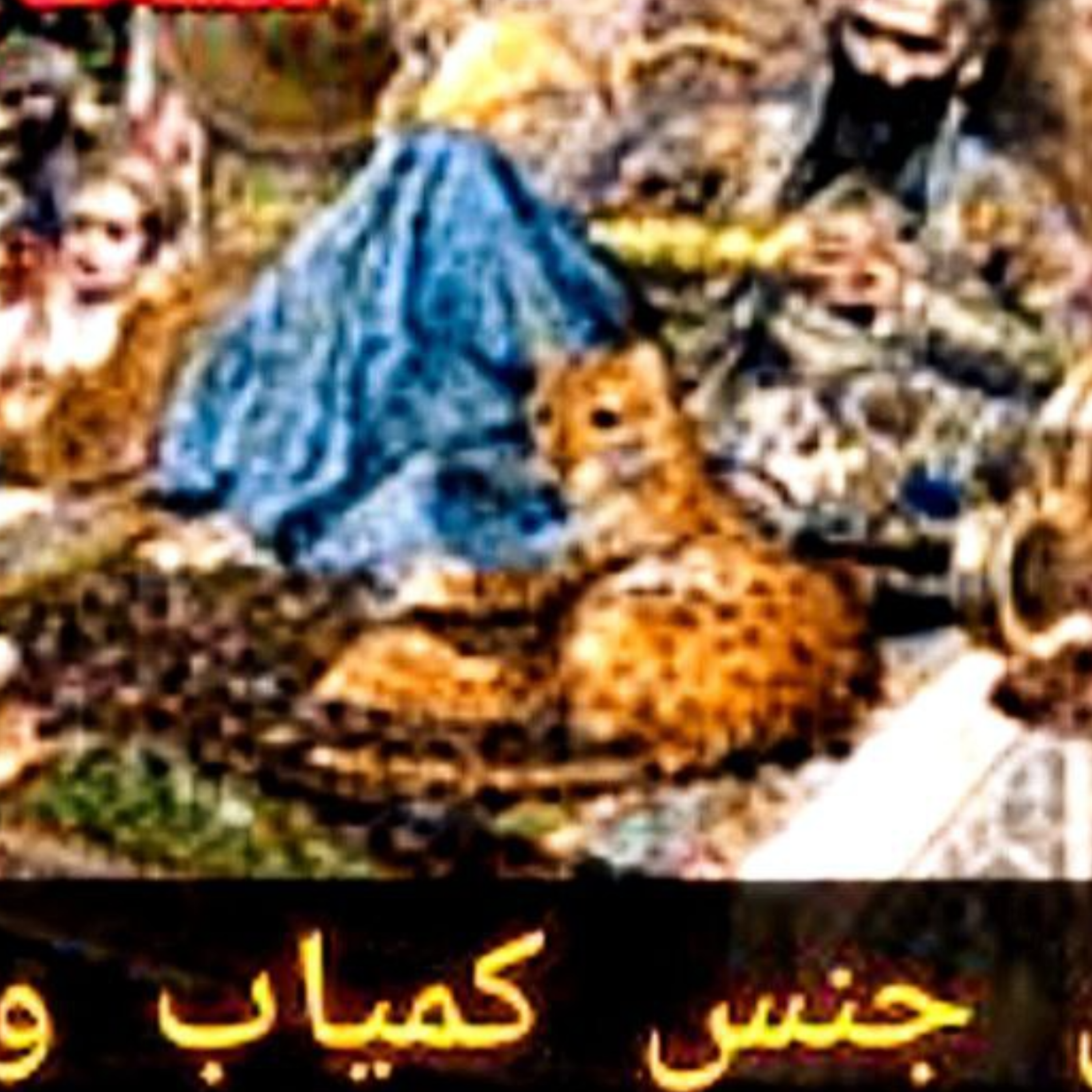 کاور جنس کمیاب وگران