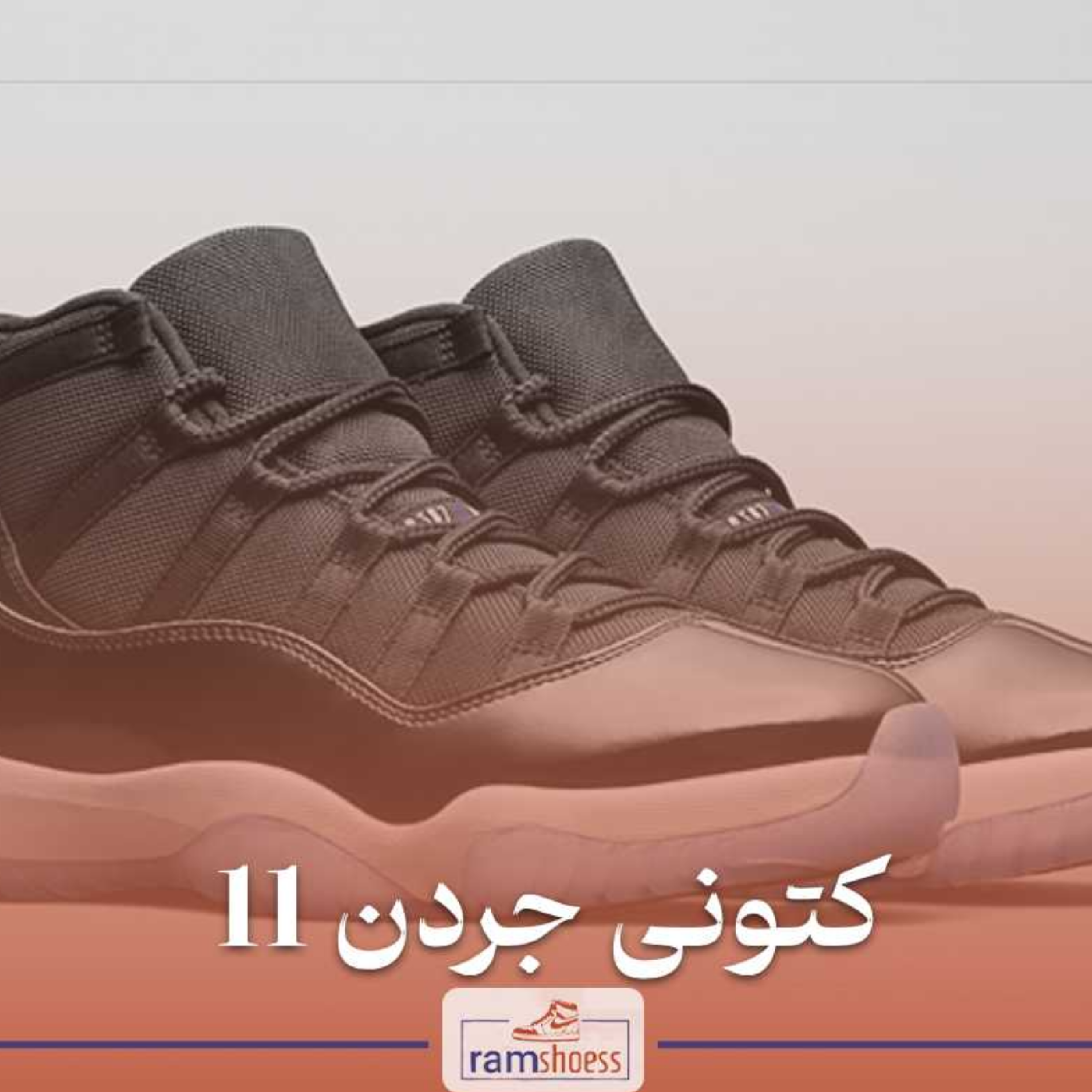 کاور کتونی جردن 11
