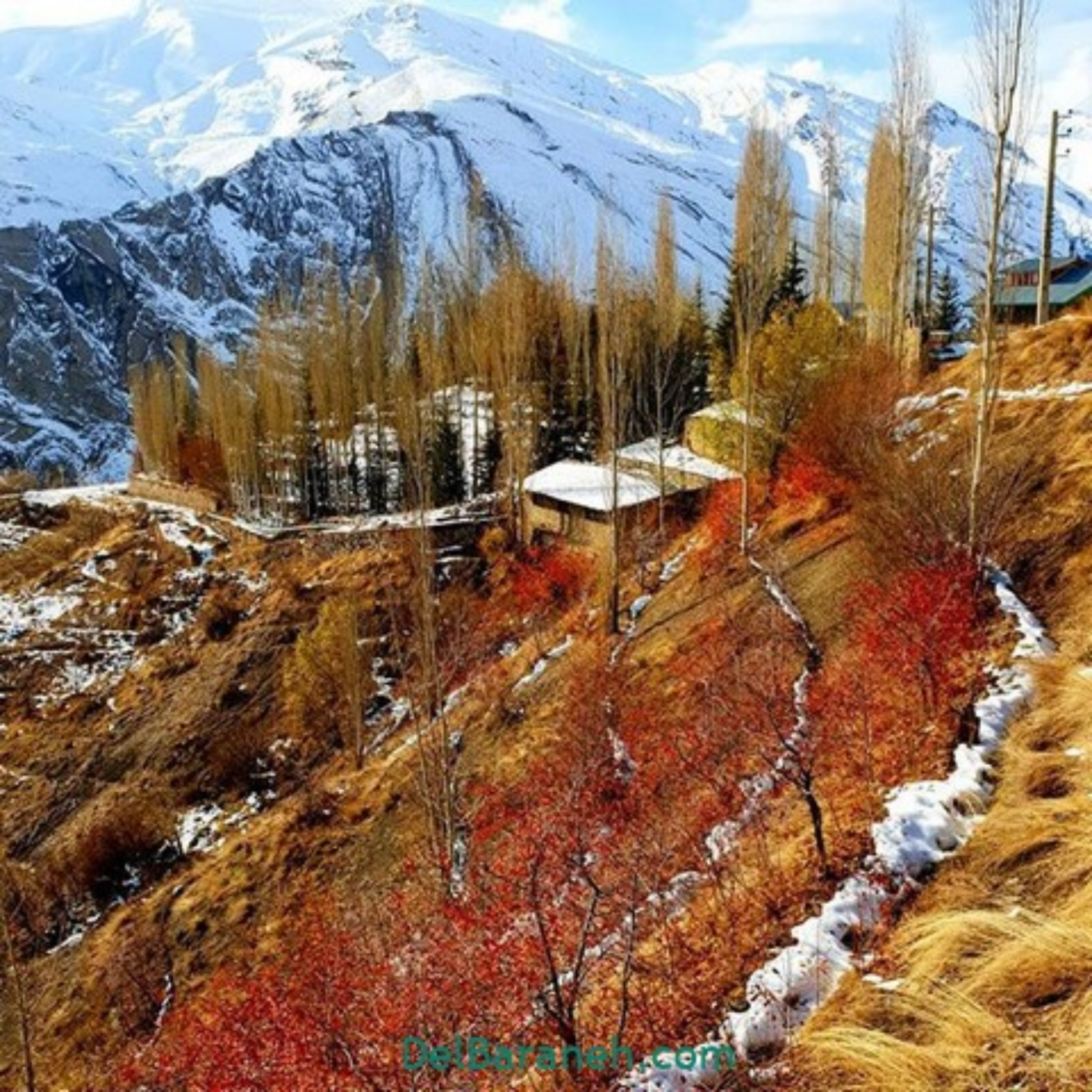 کاور سرآغاز