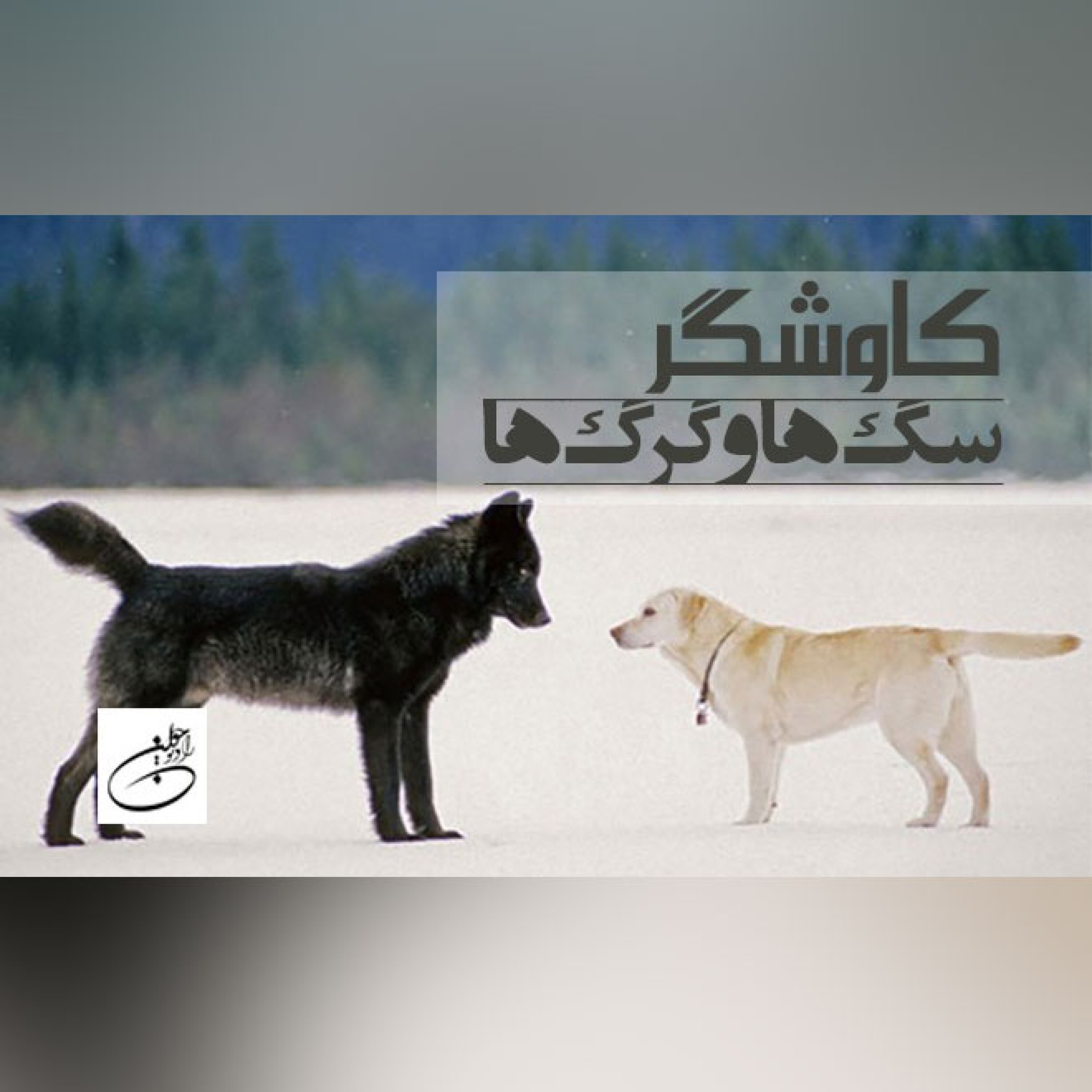 سگ ها و گرگ ها