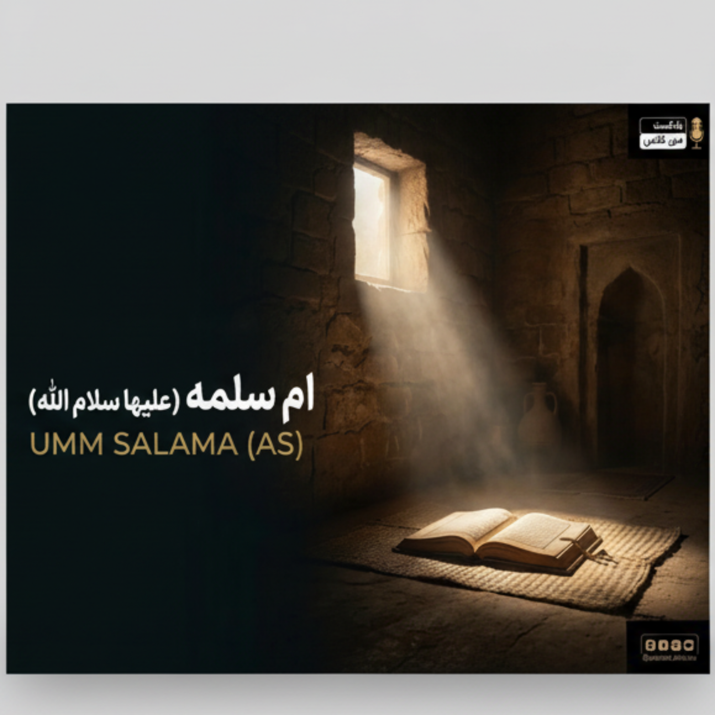 کاور ام سلمه 7