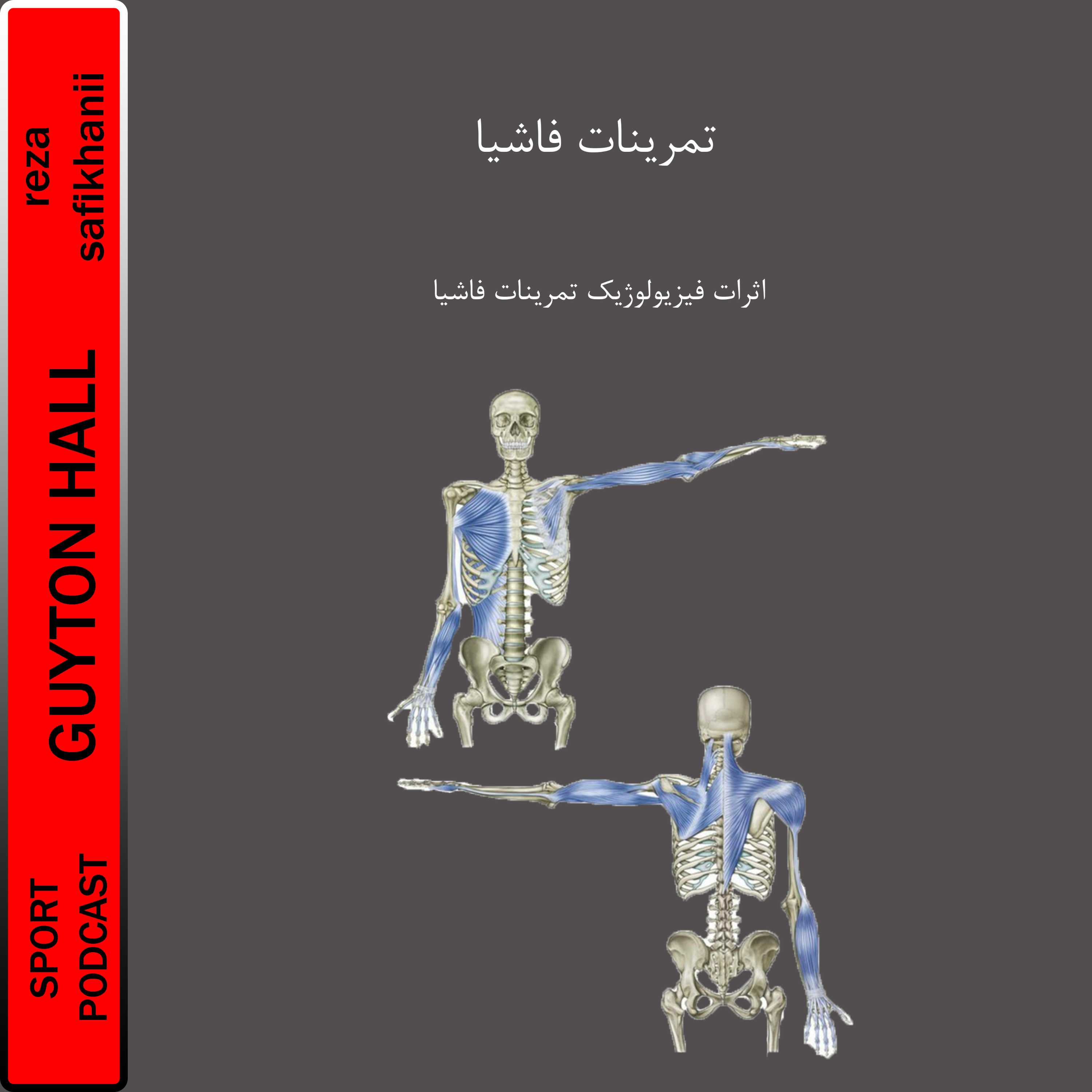 تمرینات فاشیا