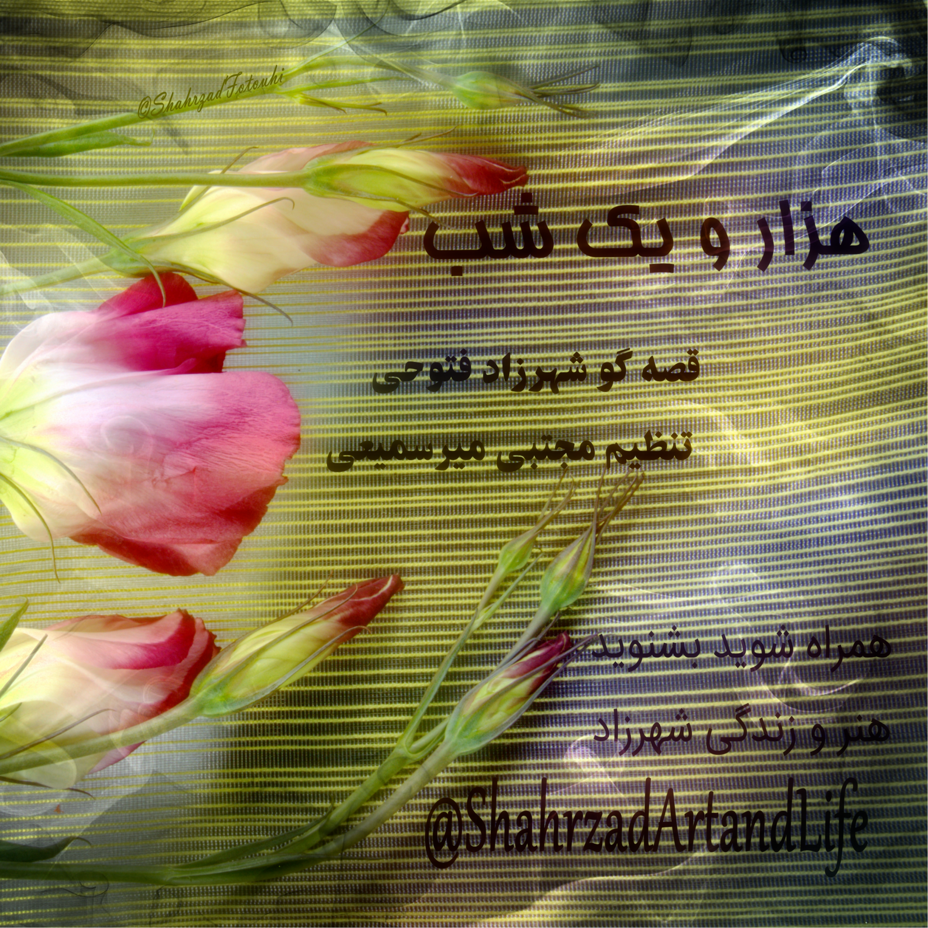 هزار و یک شب ۶۷۵ ششصد و هفتاد و پنجم  قصه‌گو شهرزاد‌فتوحی episode artwork