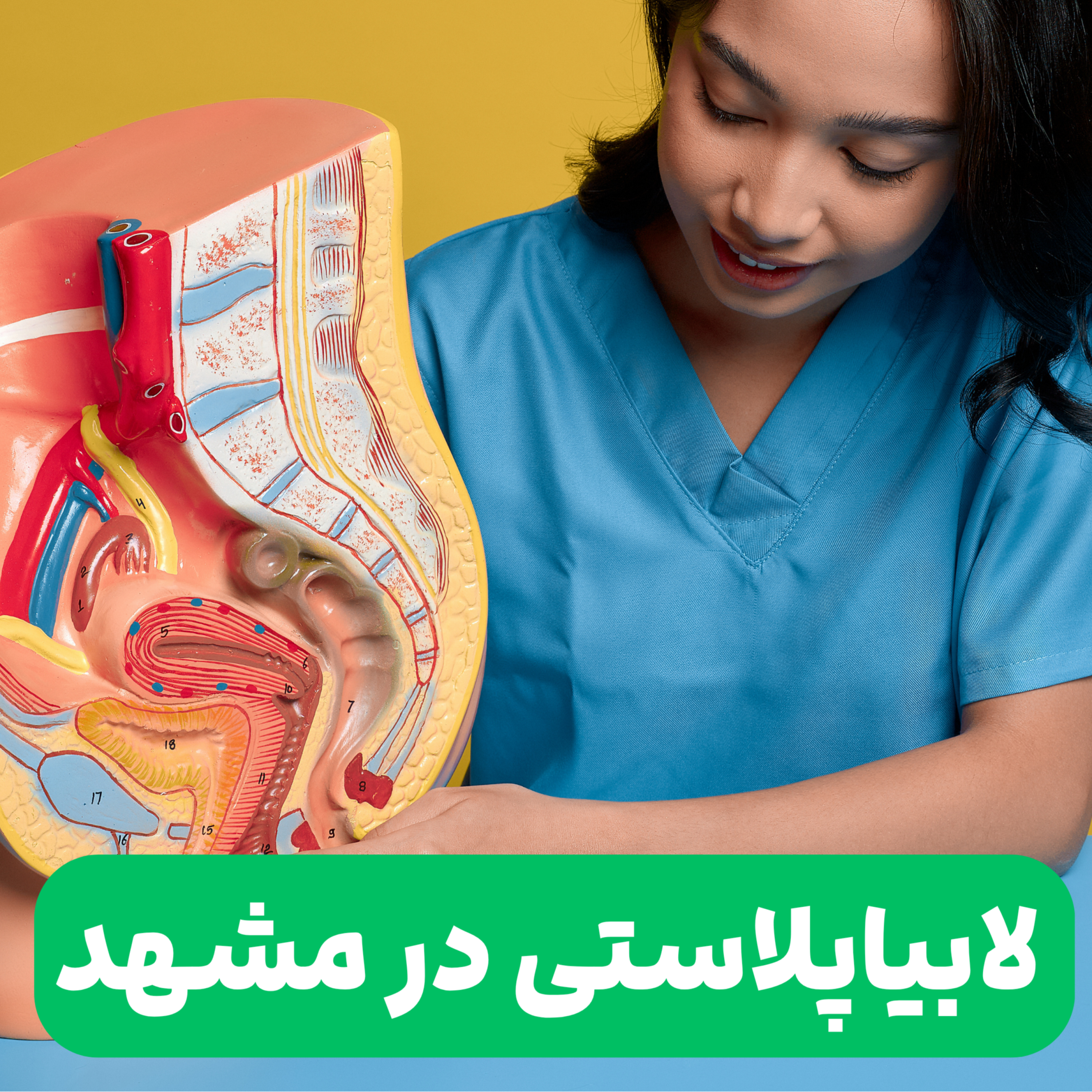 کاور پادکست لابیاپلاستی در نوین ایرانا