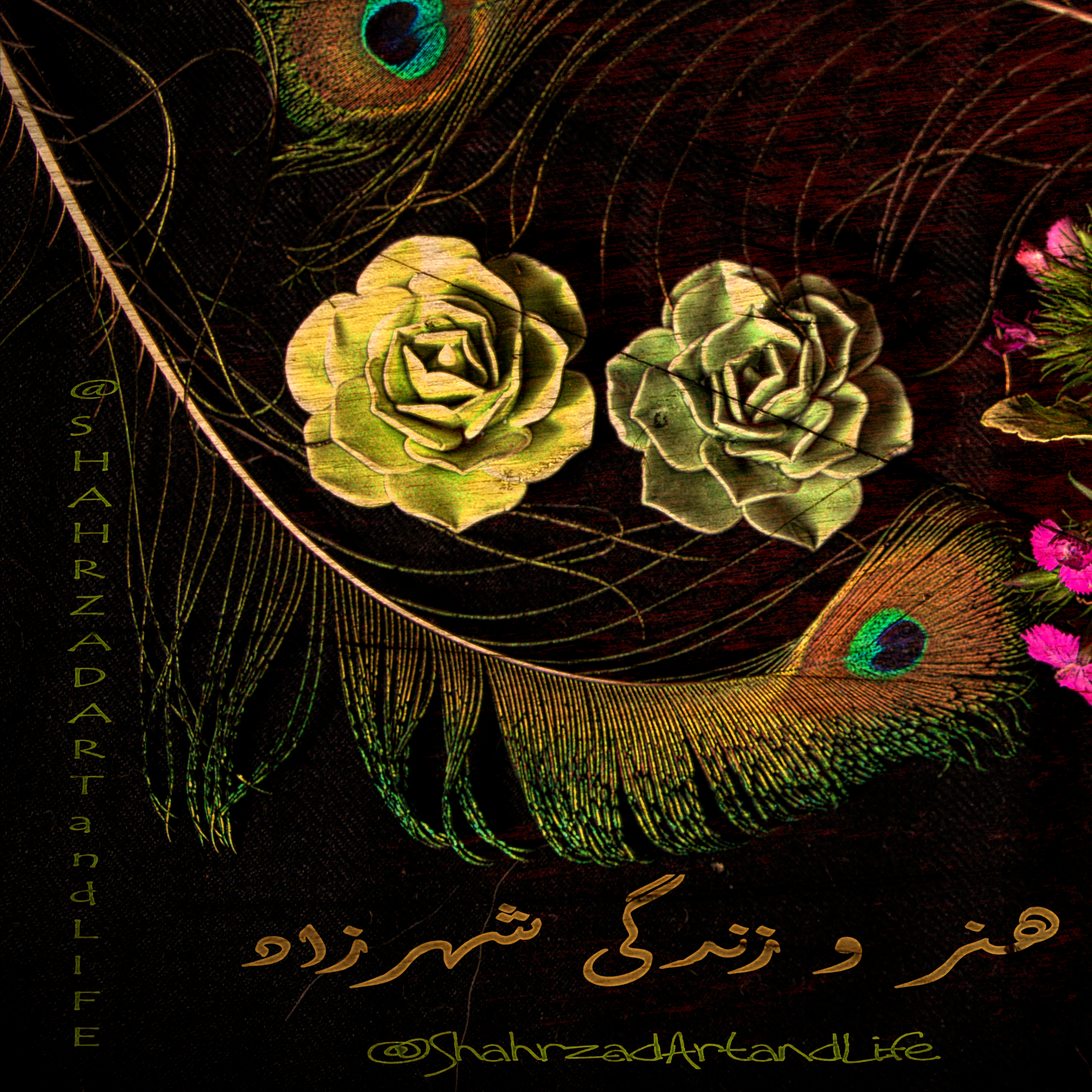 هزار و یک شب  ۷۵۱ هفتصد و پنجاه و یکم  قصه‌گو شهرزاد‌فتوحی  هنر‌و‌زندگی‌شهرزاد episode artwork