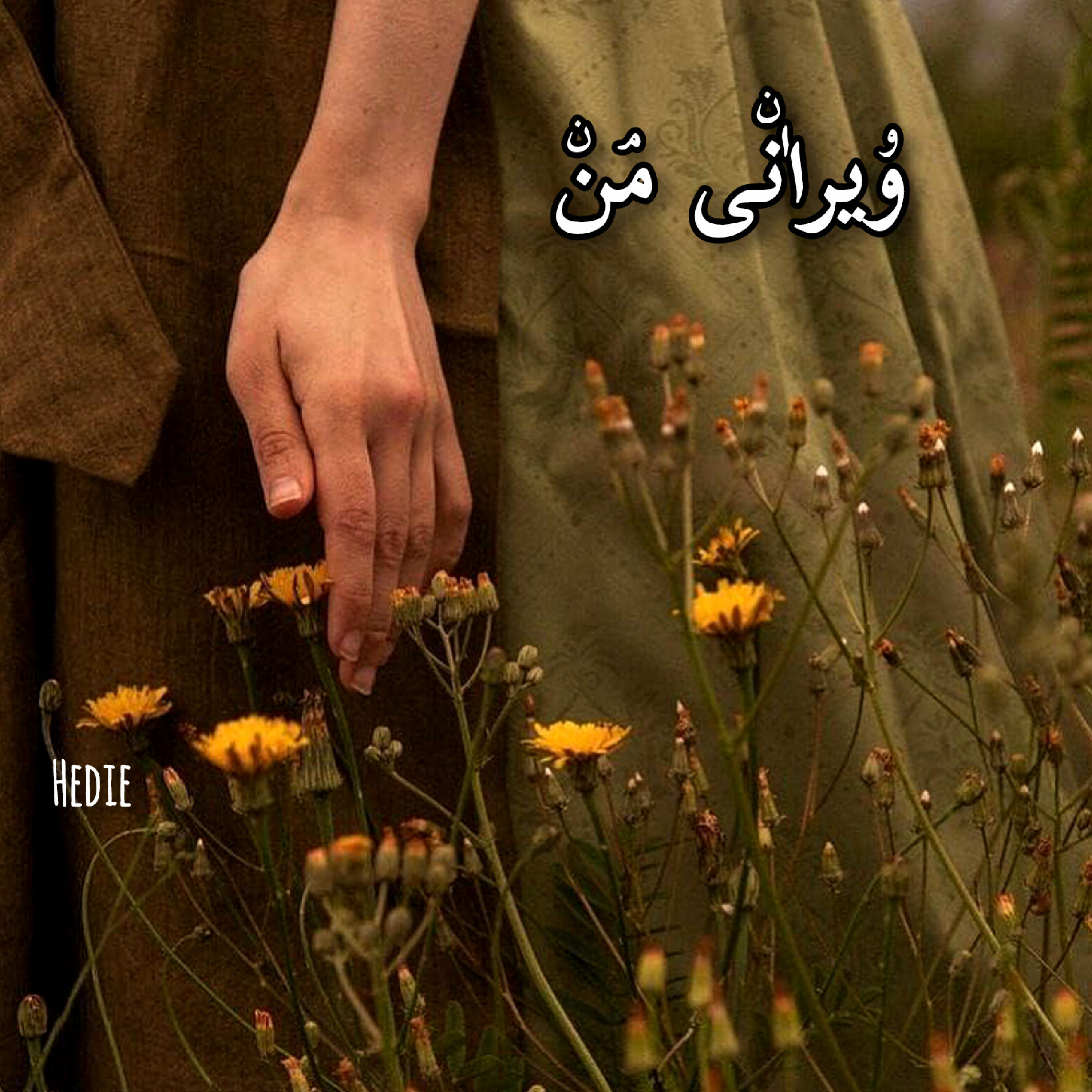کاور ویراٰنی مۘن