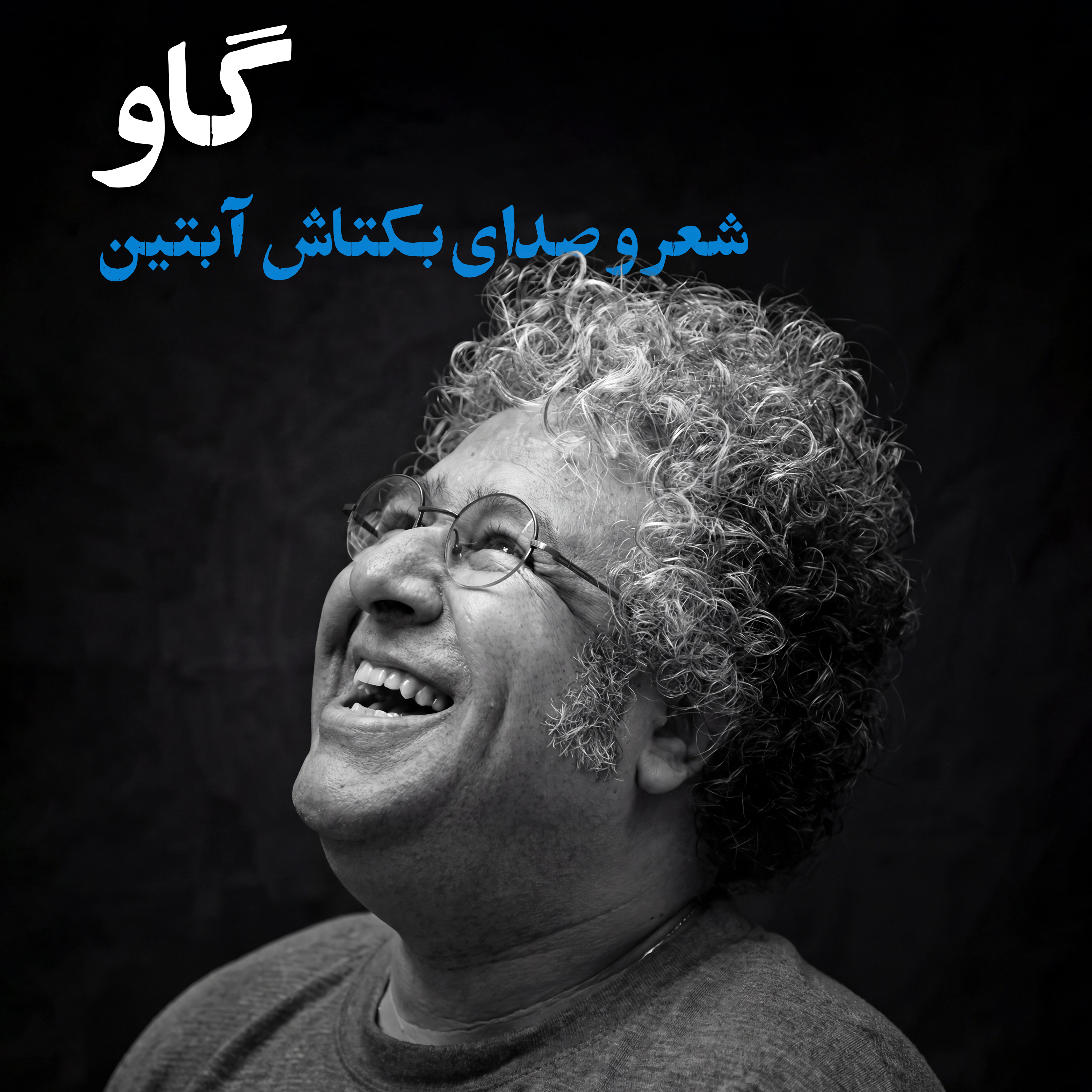 کاور بکتاش آبتین | گاو