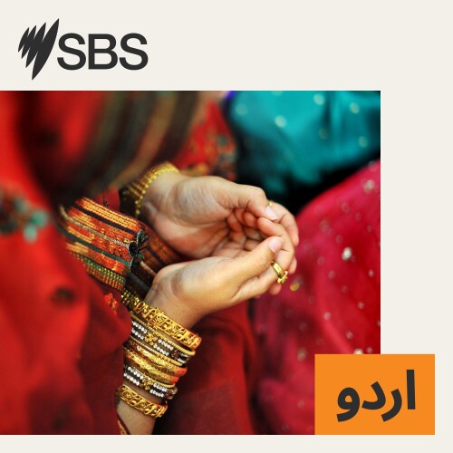 مختصر خبریں: 27 مارچ 2025
