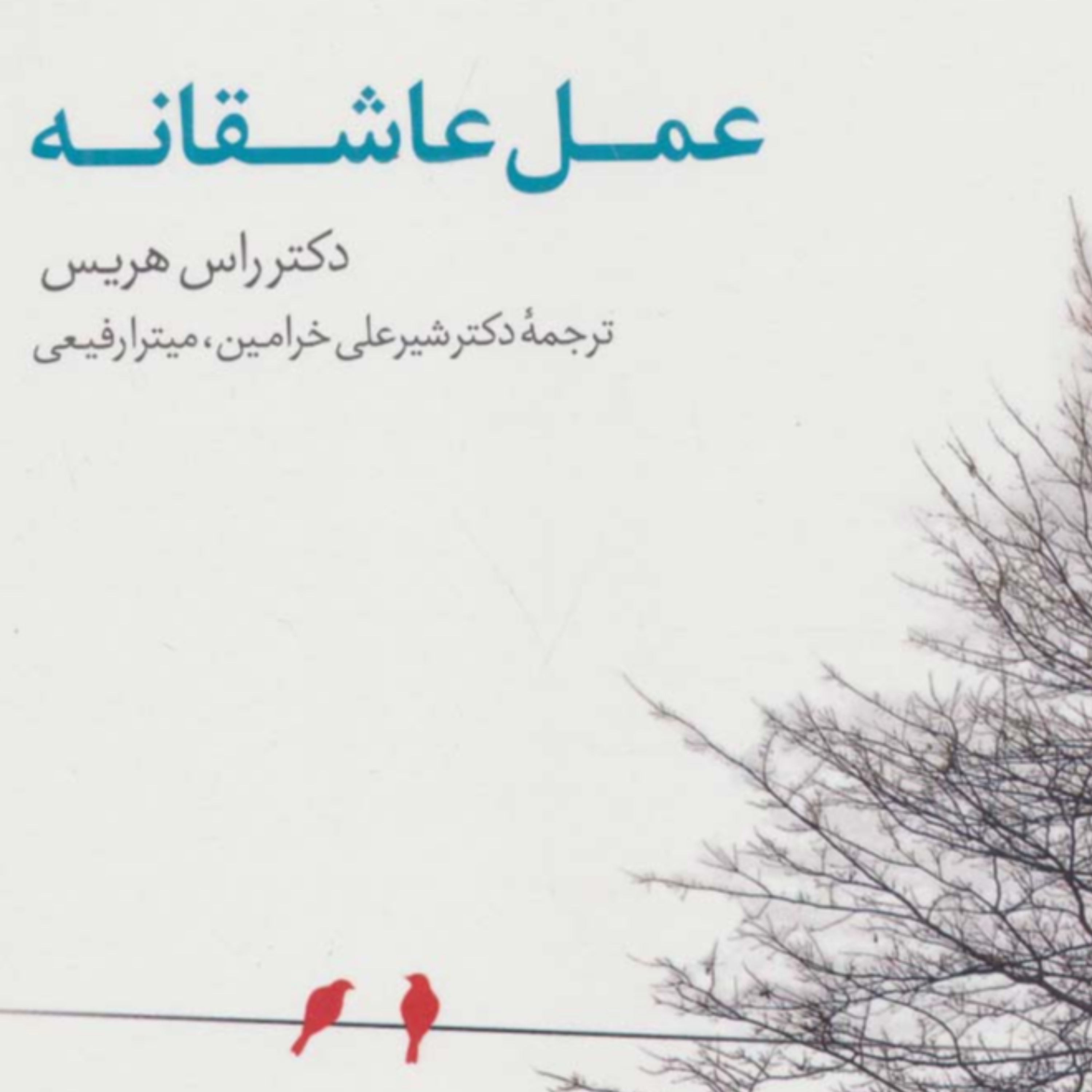 کاور اپیزود ششم عمل عاشقانه