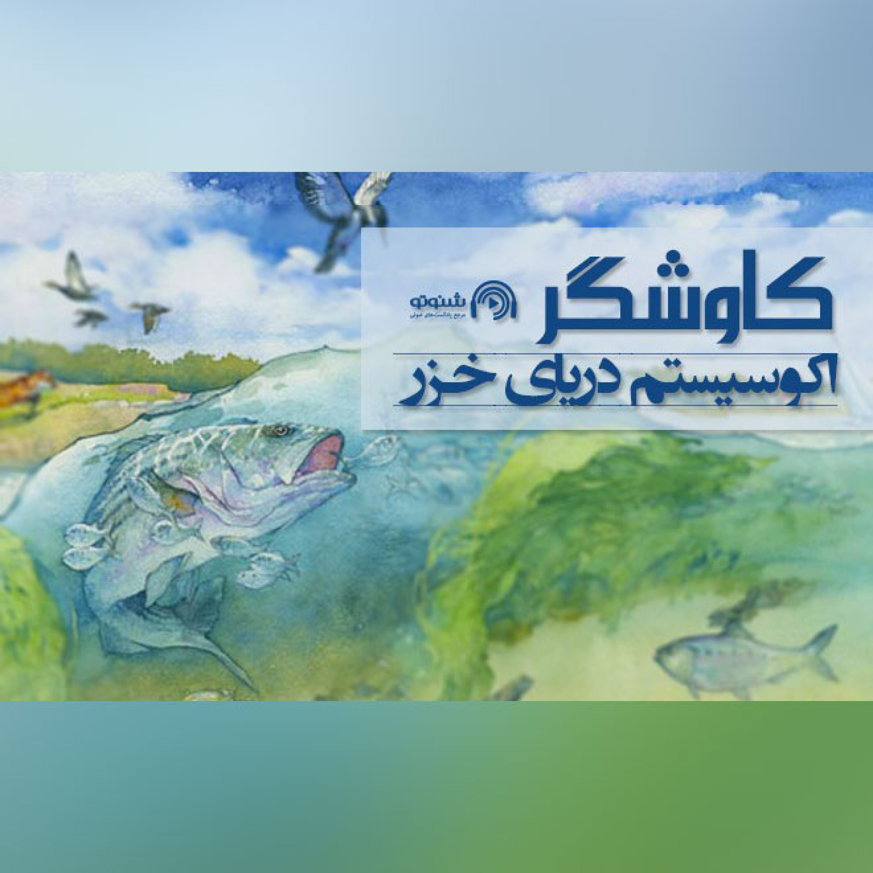 اکوسیستم دریای خزر