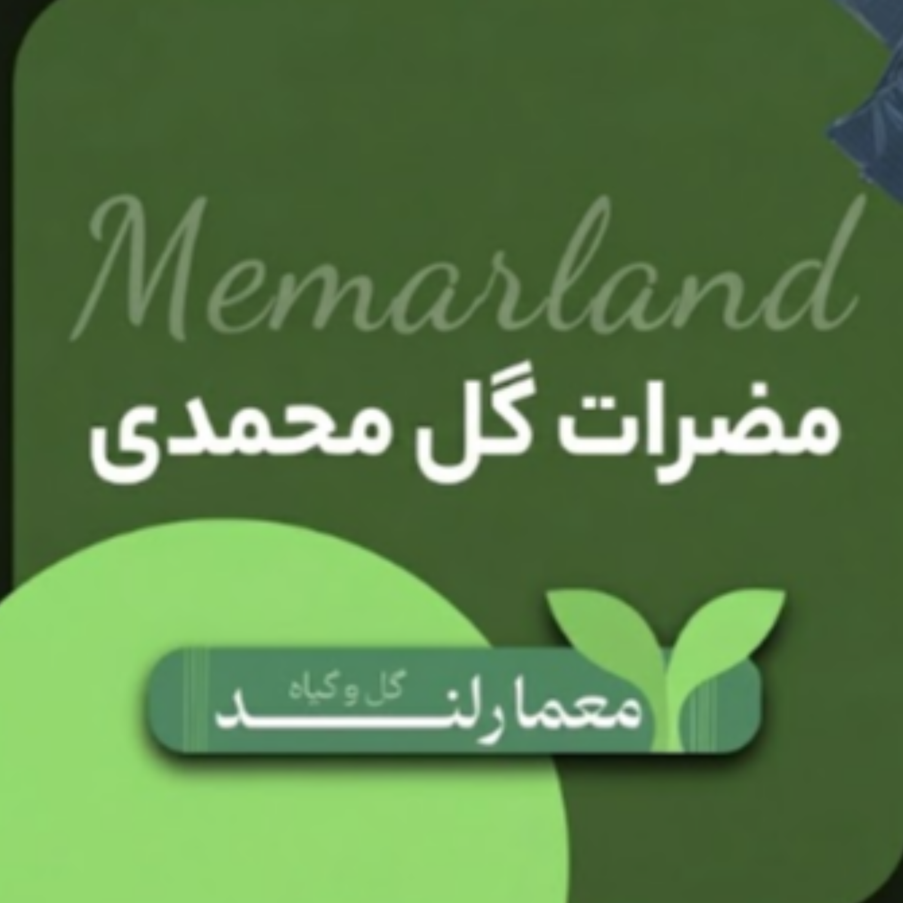 کاور مضرات گل محمدی