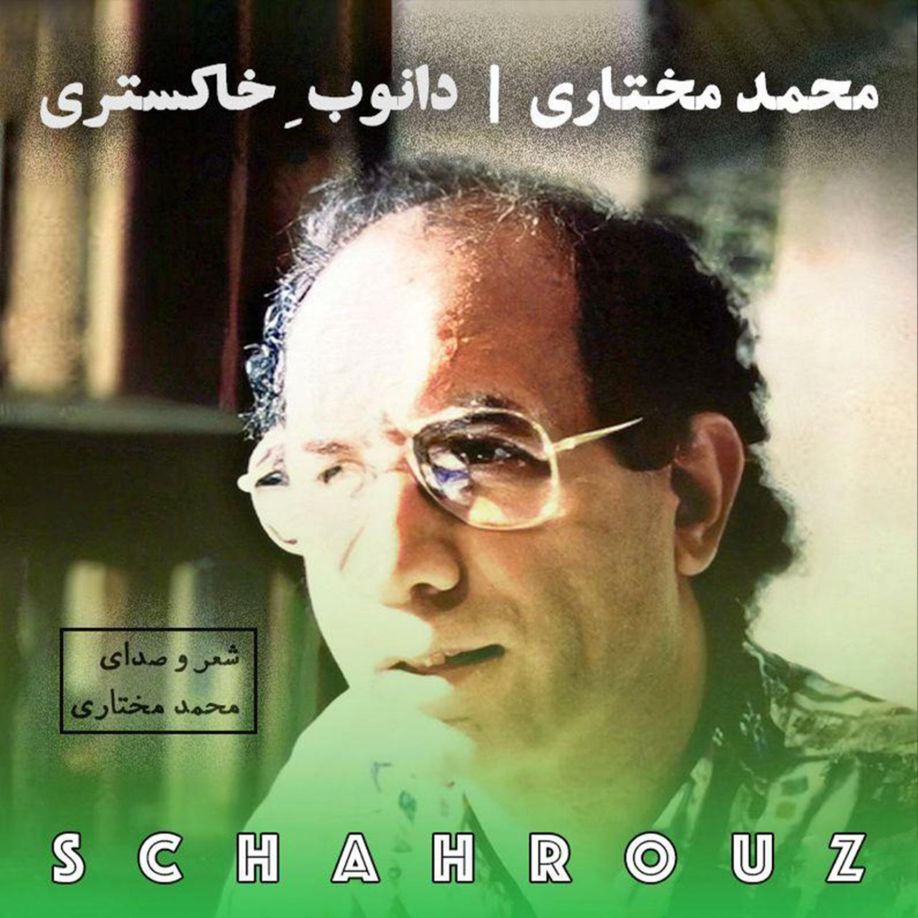 کاور محمد مختاری | دانوب خاکستری