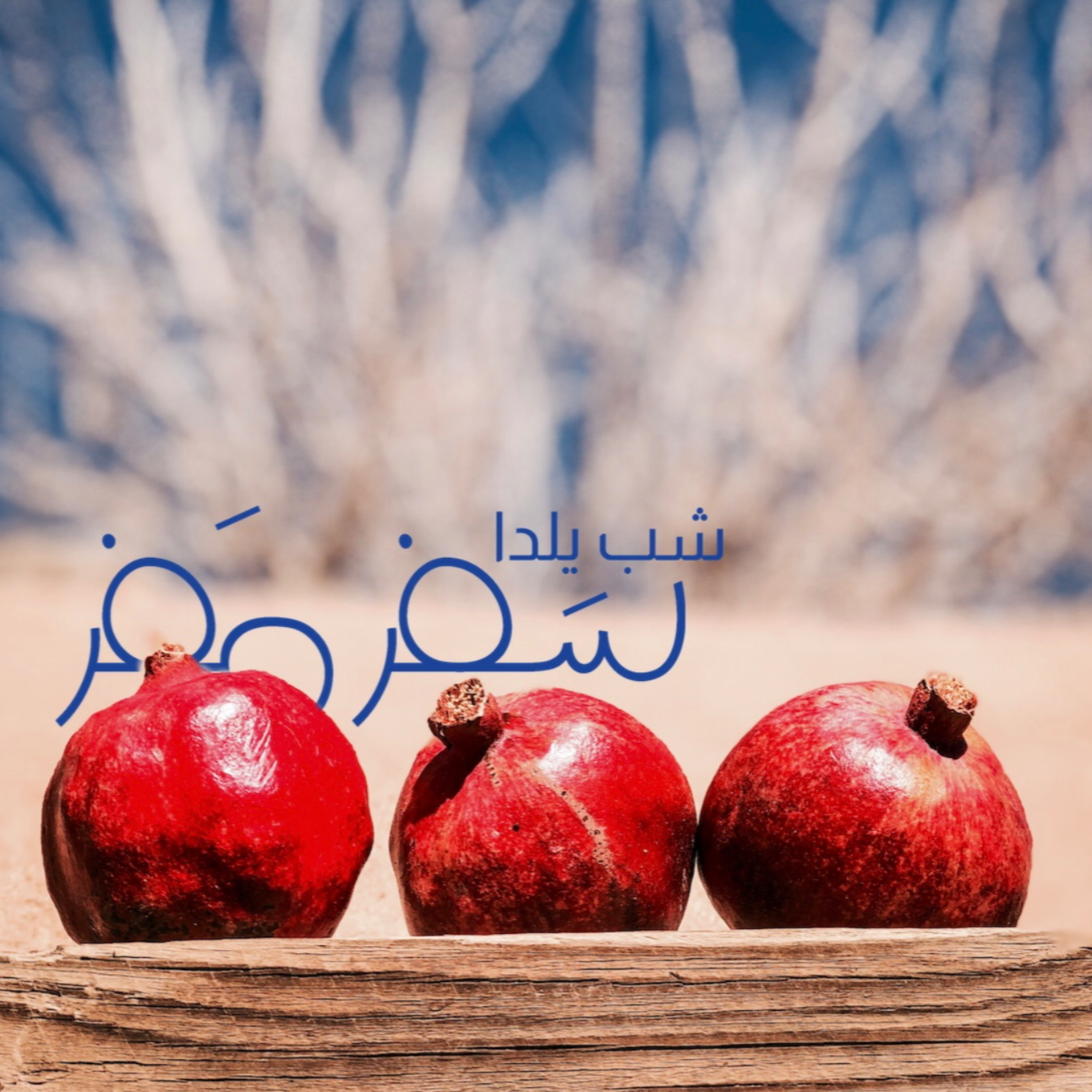 کاور شب یلدا