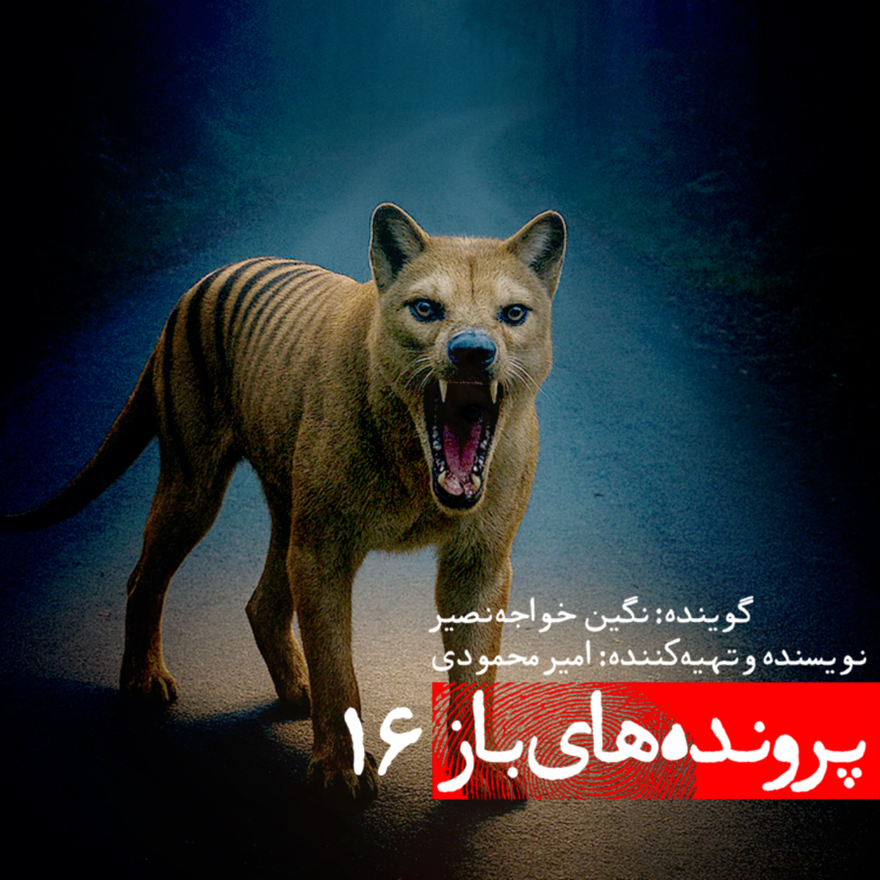 کاور راز دیده شدن ببری که حدود ۱۰۰ سال ار انقراض کامل آن میگذرد چیست؟