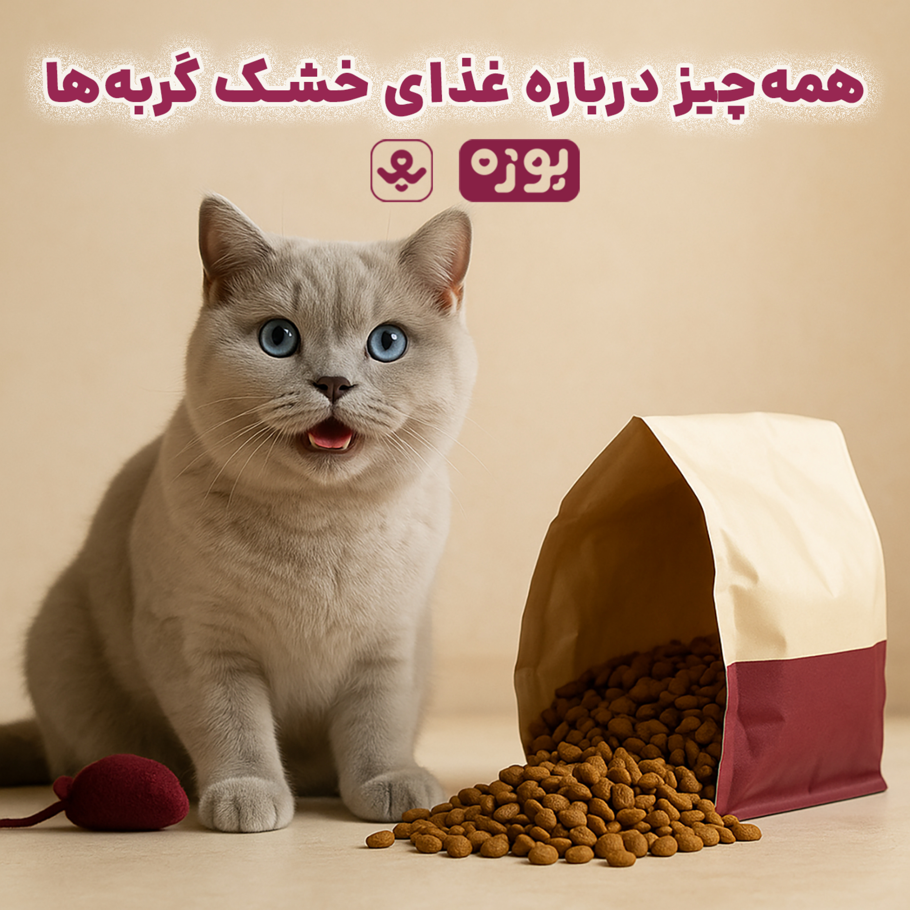 کاور همه‌چیز درباره غذای خشک گربه‌ها