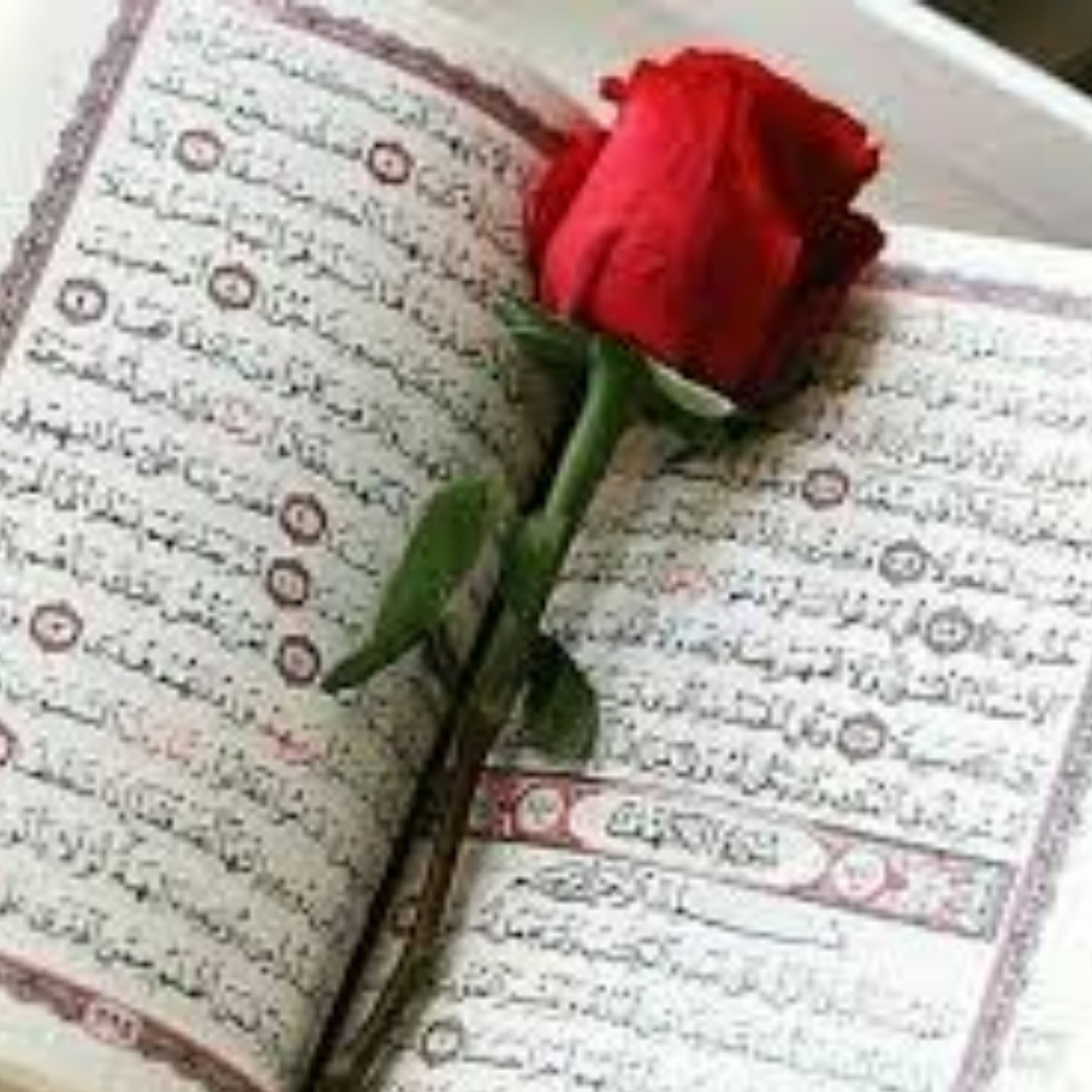 کاور منتخب سوره ممتحنه