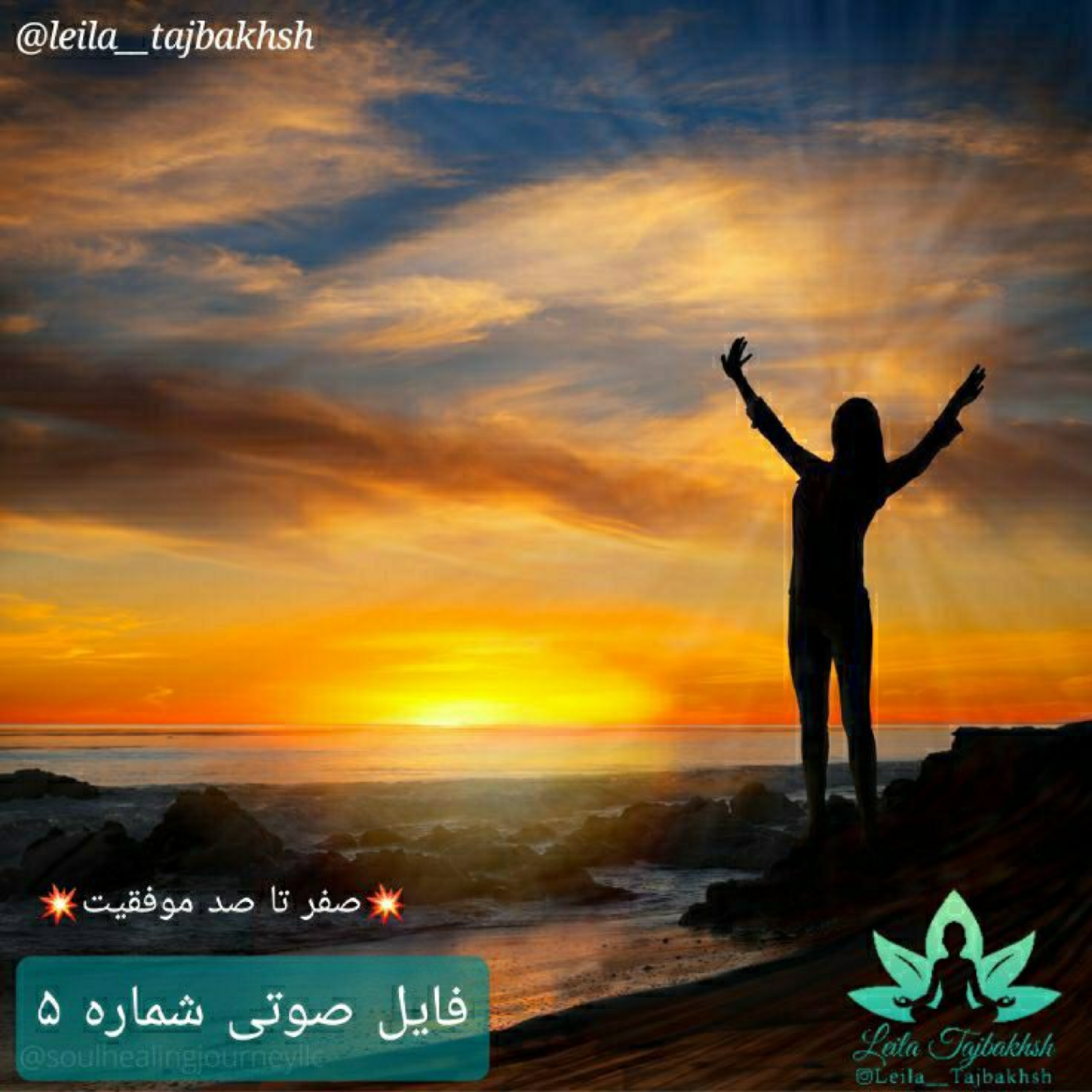 کاور شکرگزاری