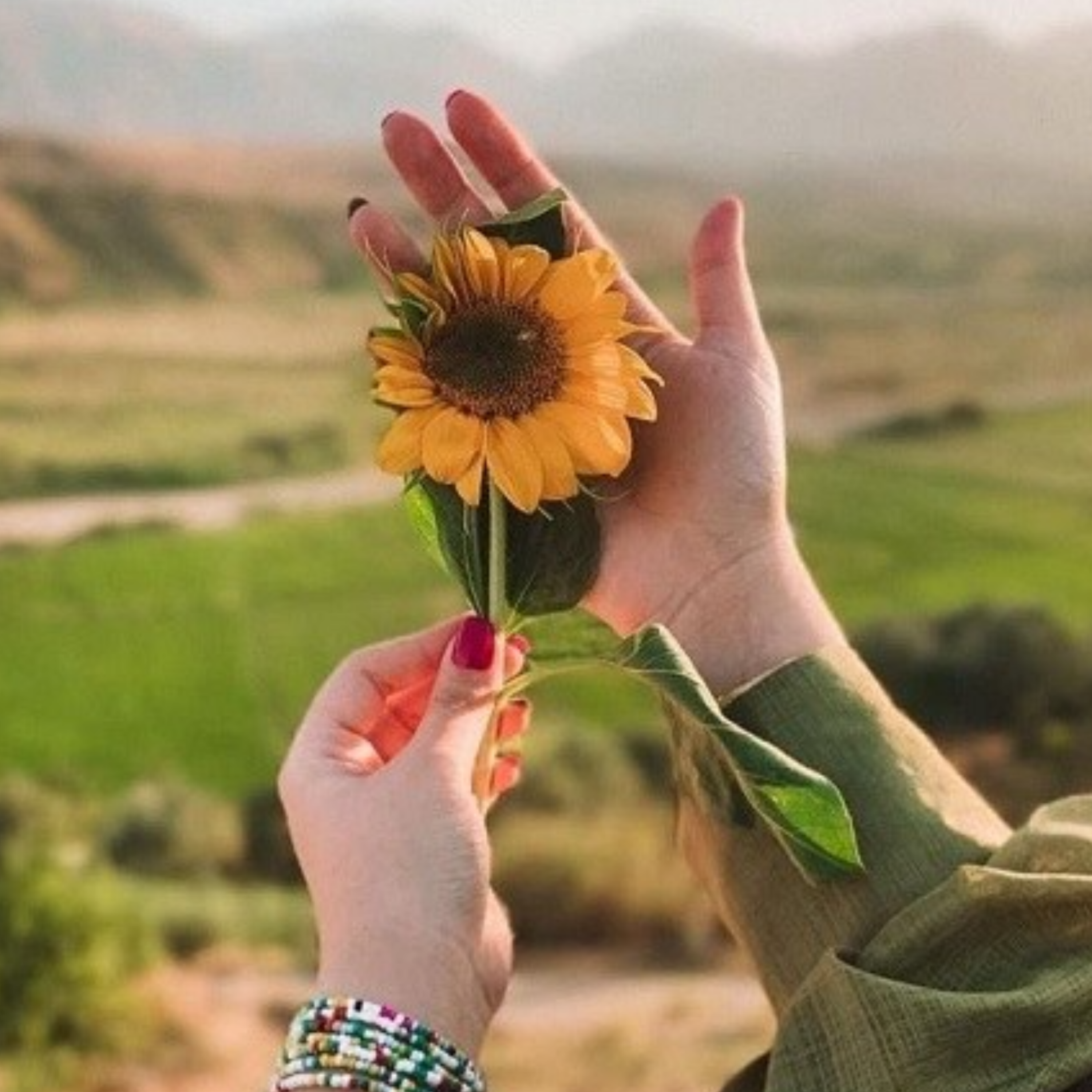 کاور شهامت خوشبینی