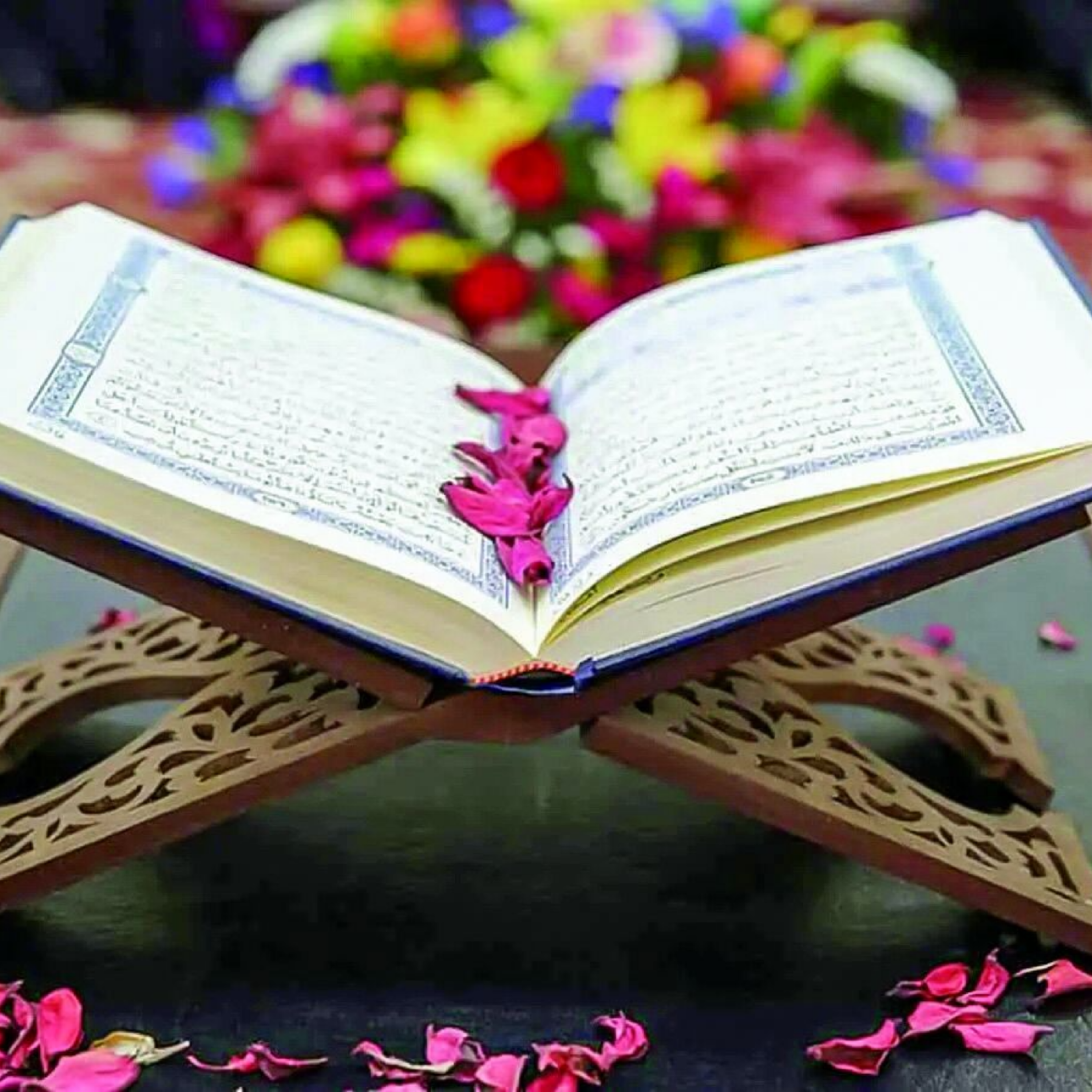 کاور سوره توحید مشاری راشد العفاسی