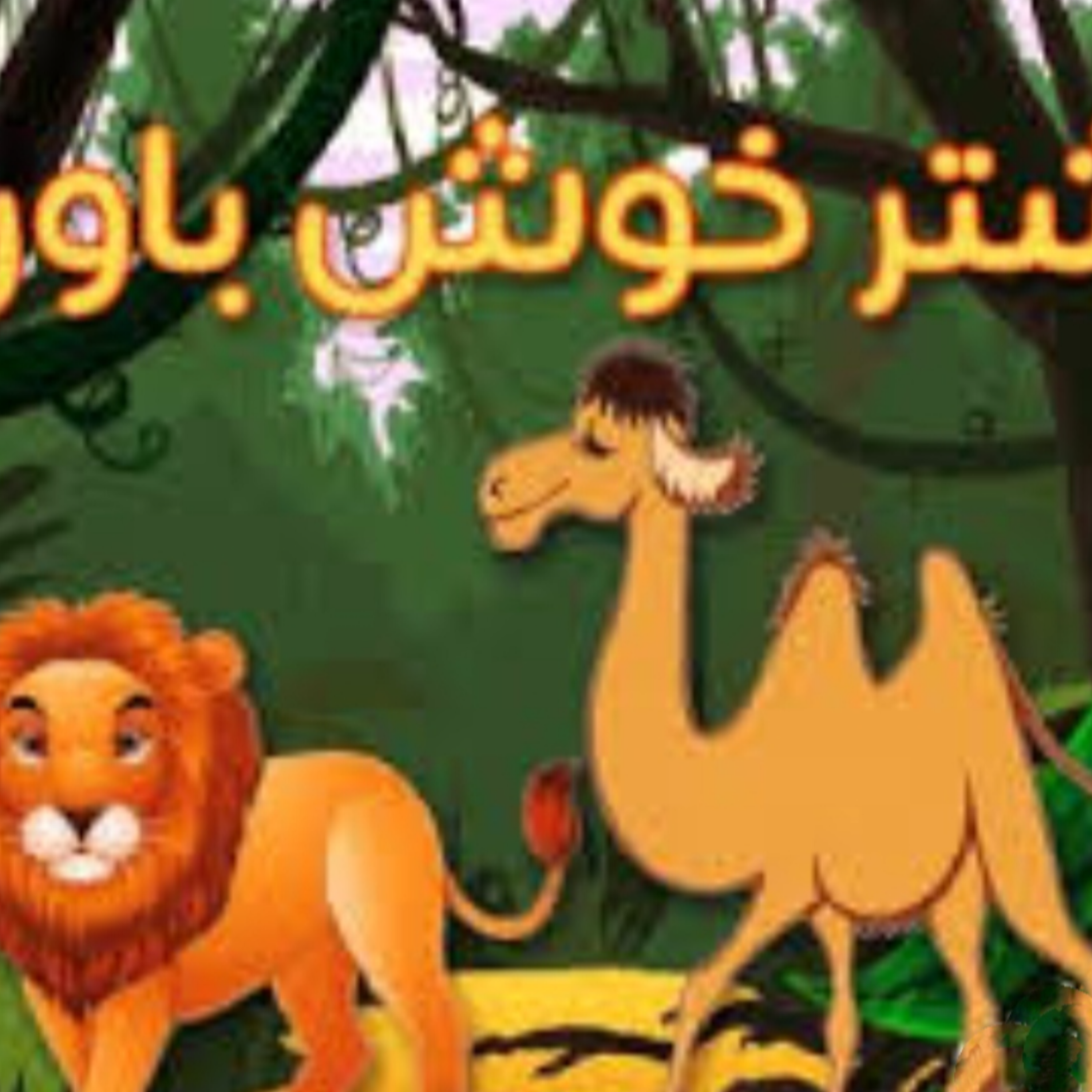 کاور شتر خوش باور