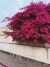 helen،sharafi