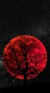shahrooz021
