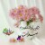 BRAND_USER