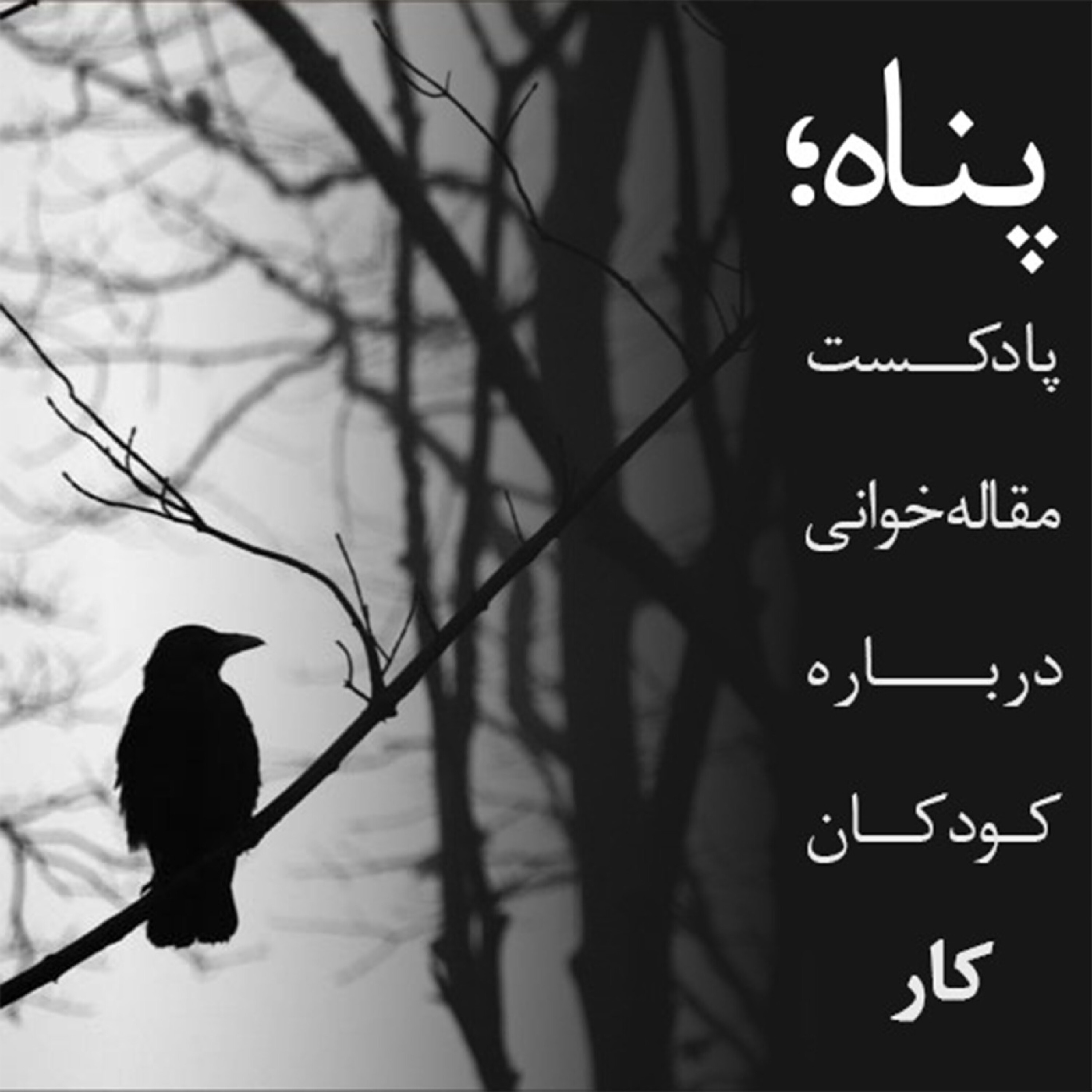 کاور پناه: پادکست مقاله خوانی درباره کودکان کار