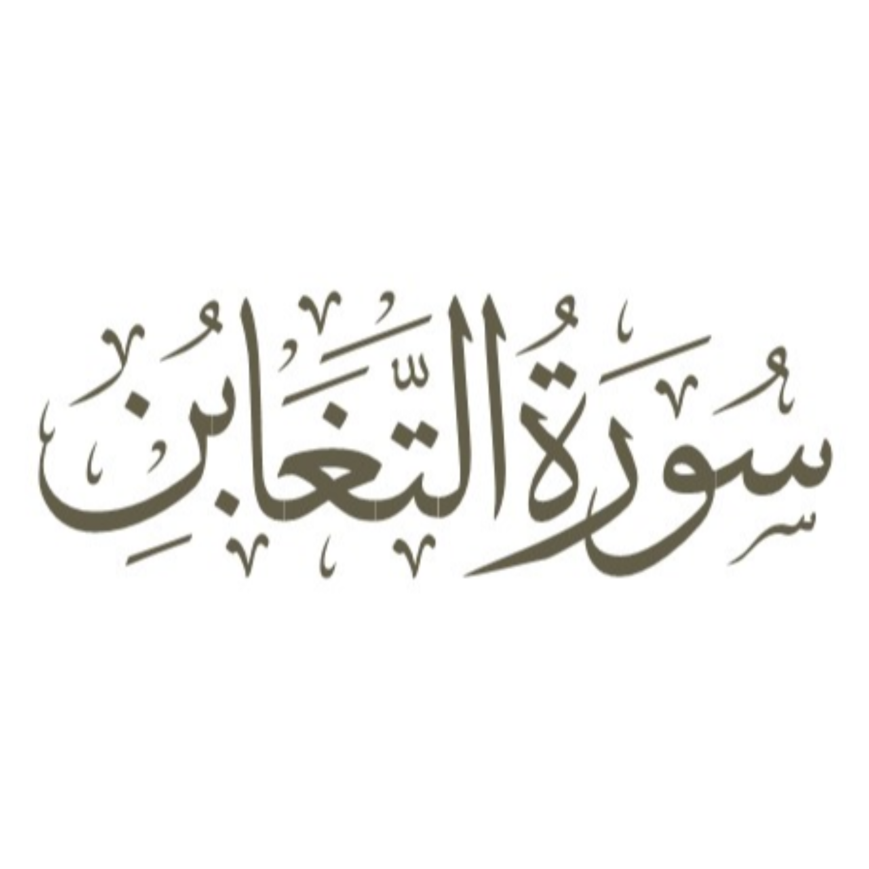 کاور توضیح لغوی ادبی سوره تغابن