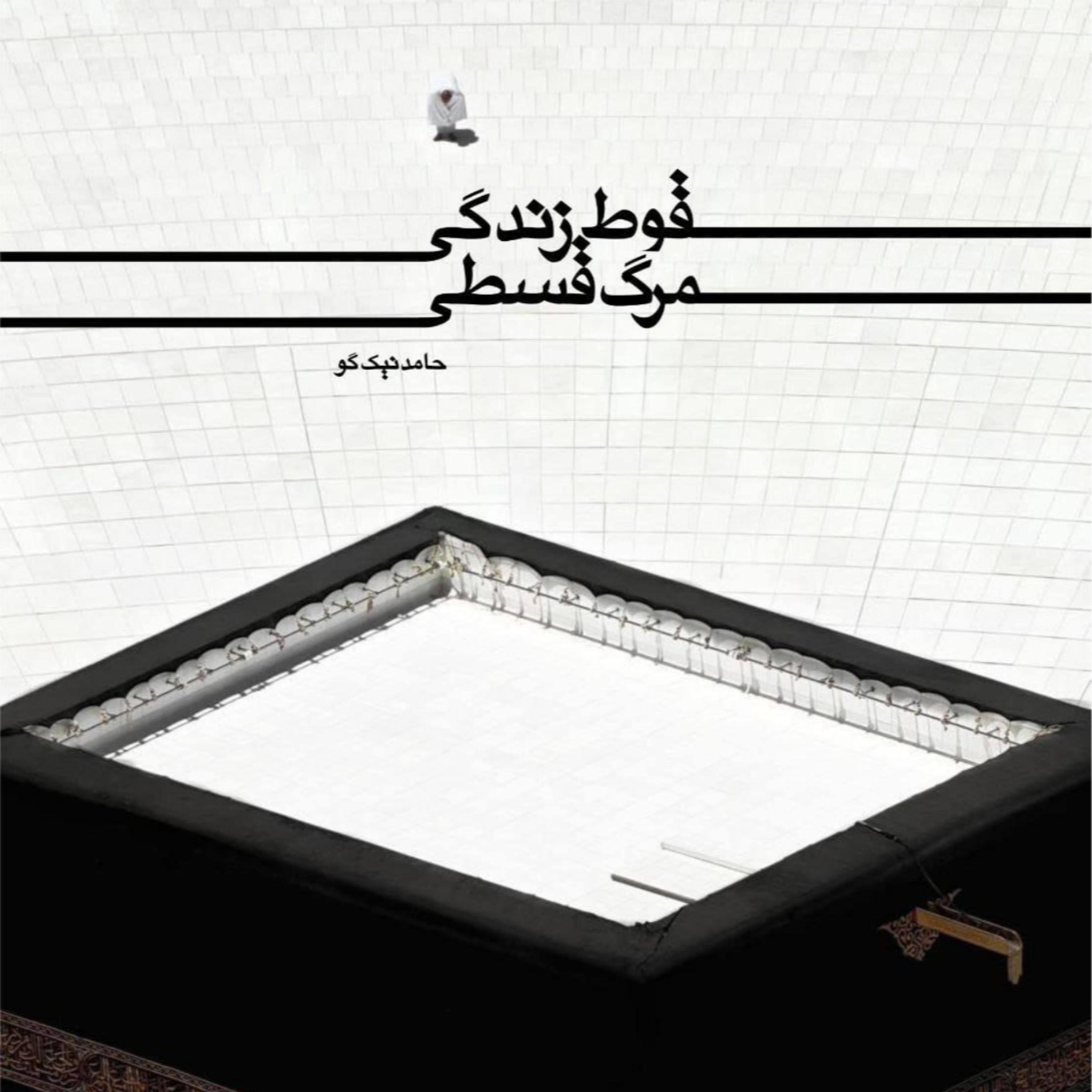 کاور THE FALL OF LIFE , DEATH ON THE INSTALLMENT