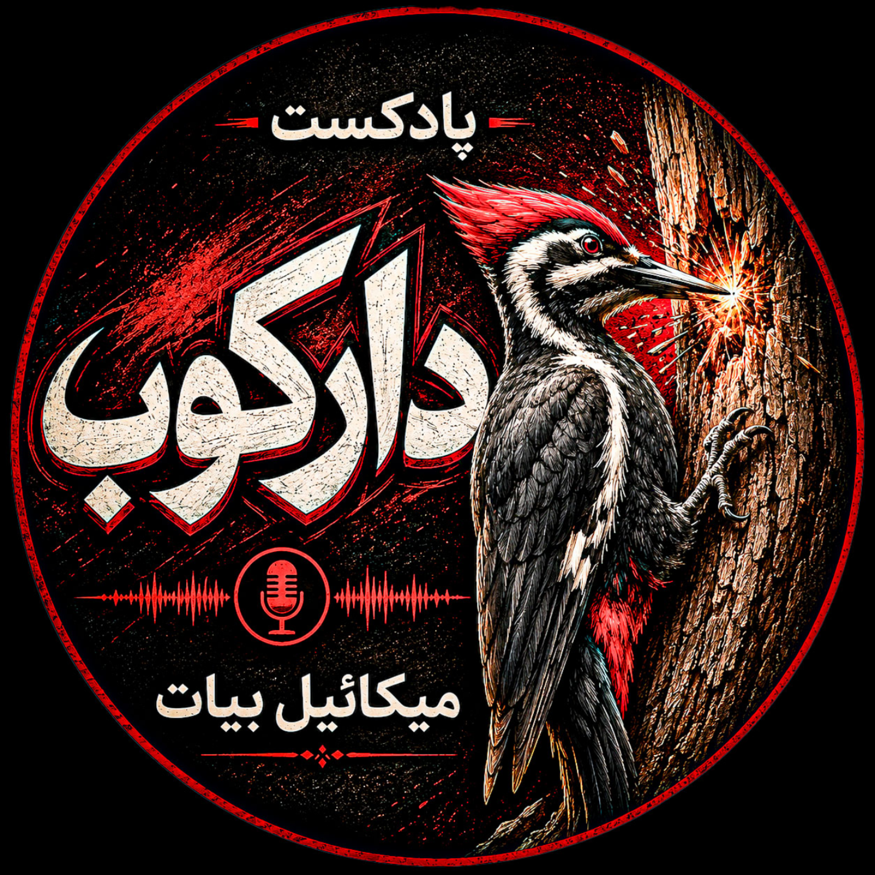 کاور دارکوب