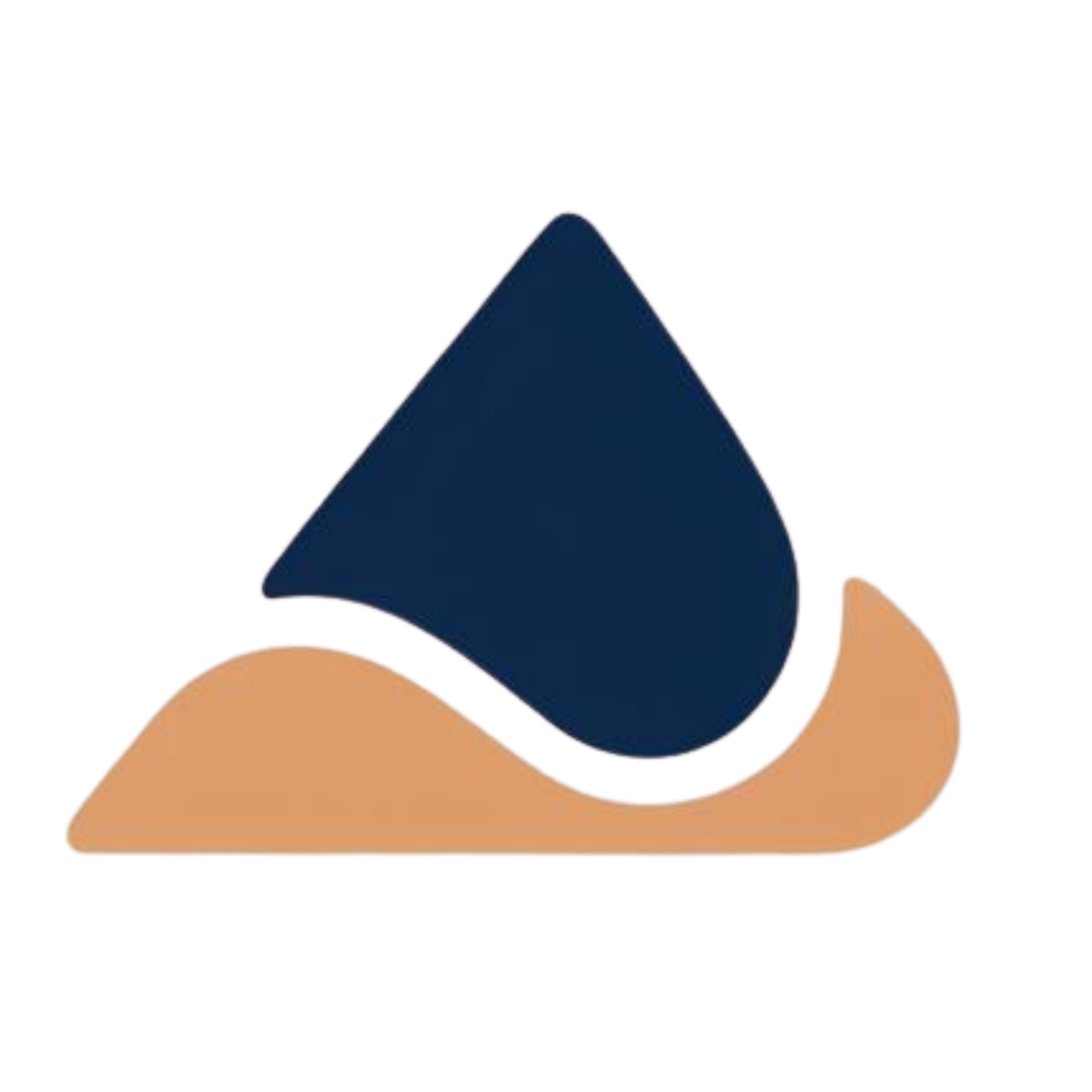 DisMot I دیسموت
