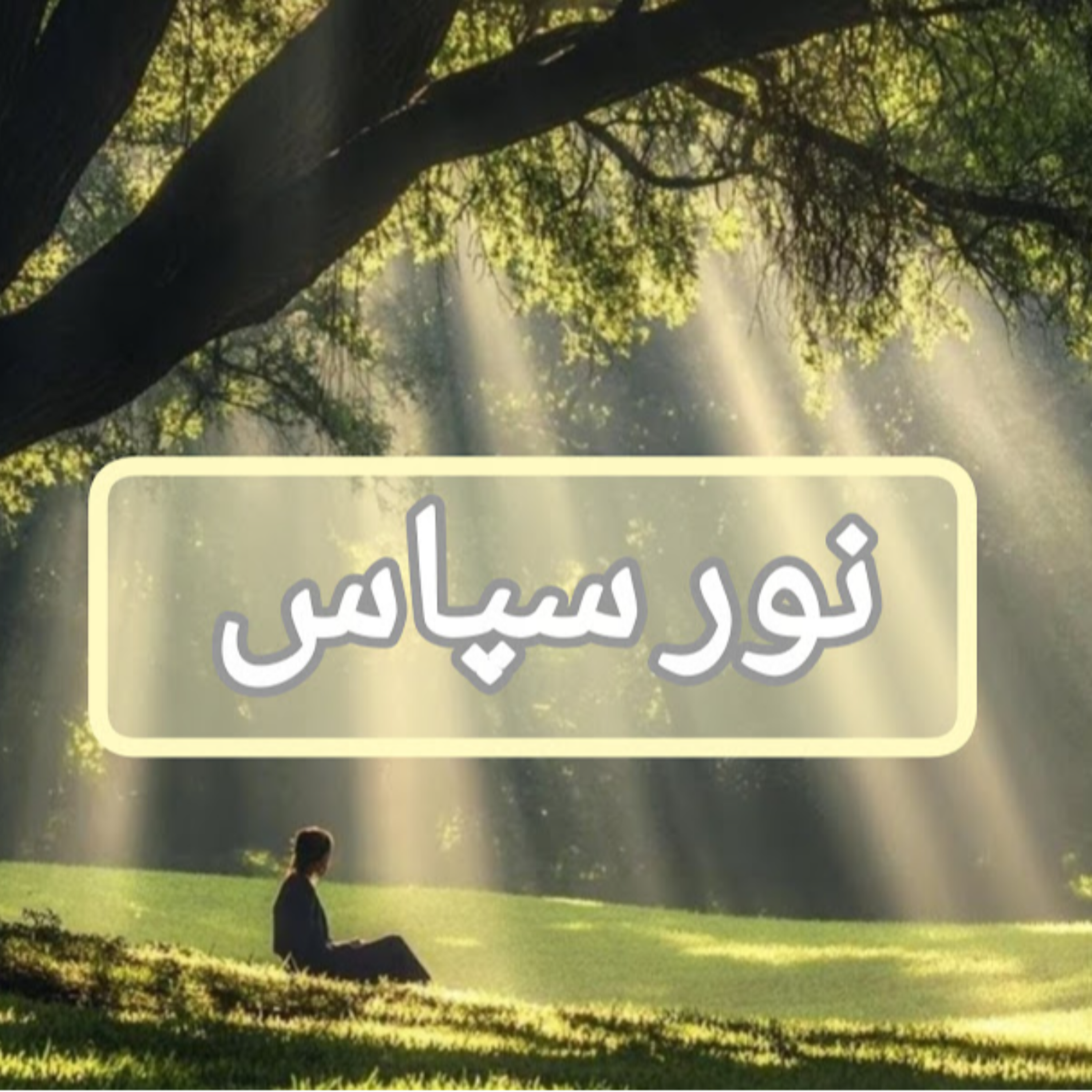 کاور نور سپاس