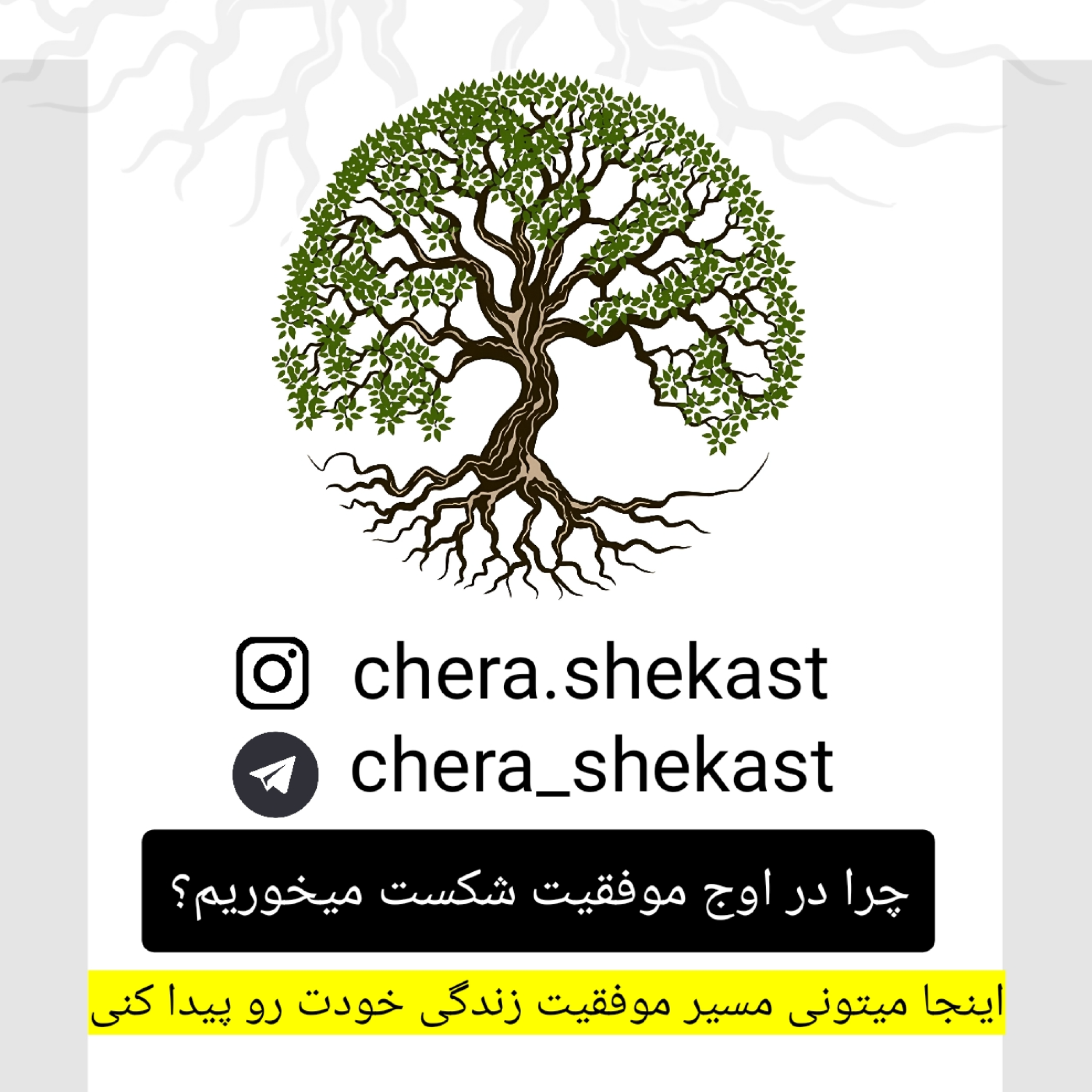 کاور چرا در اوج موفقیت شکست میخوریم