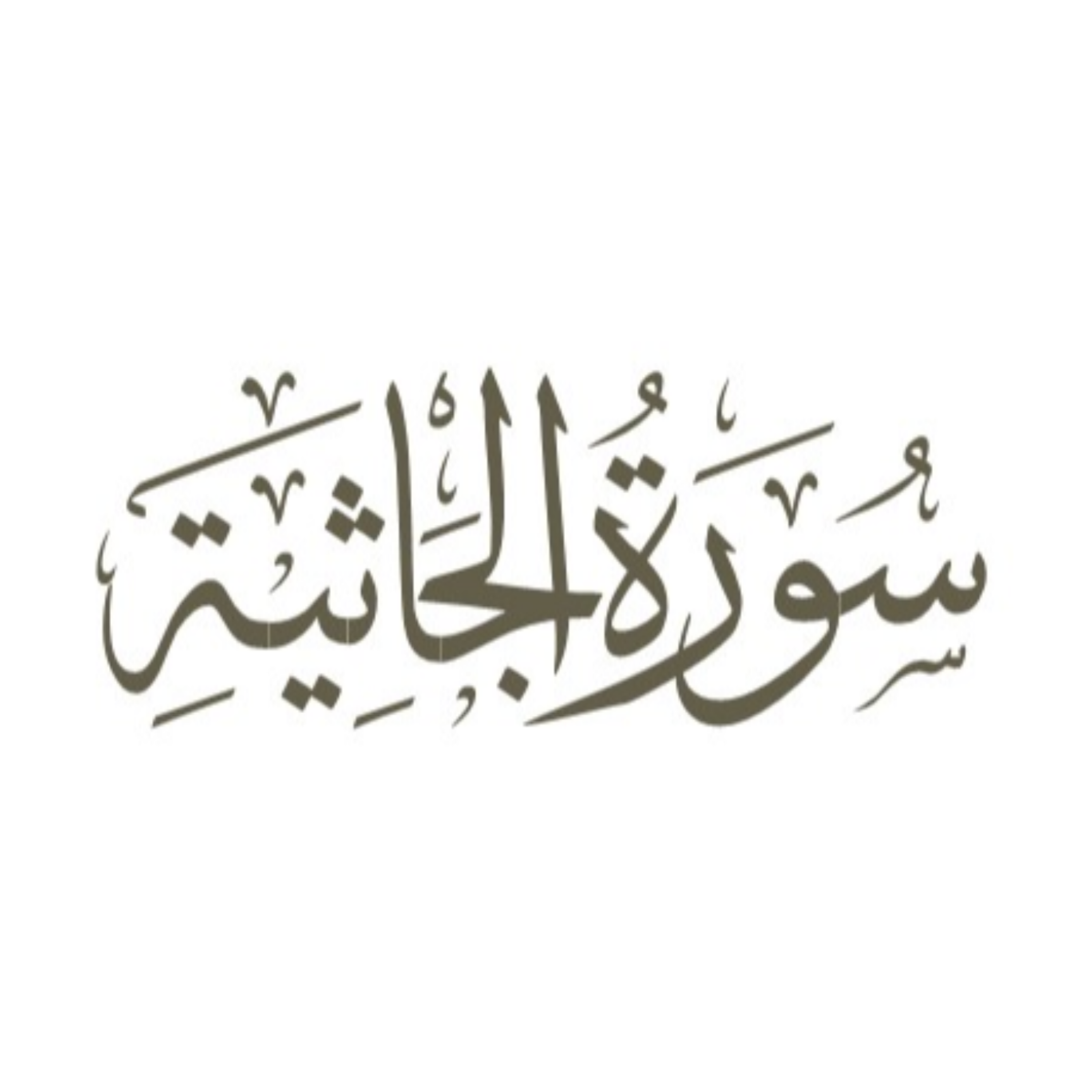 کاور توضیح لغوی ادبی سوره جاثیه
