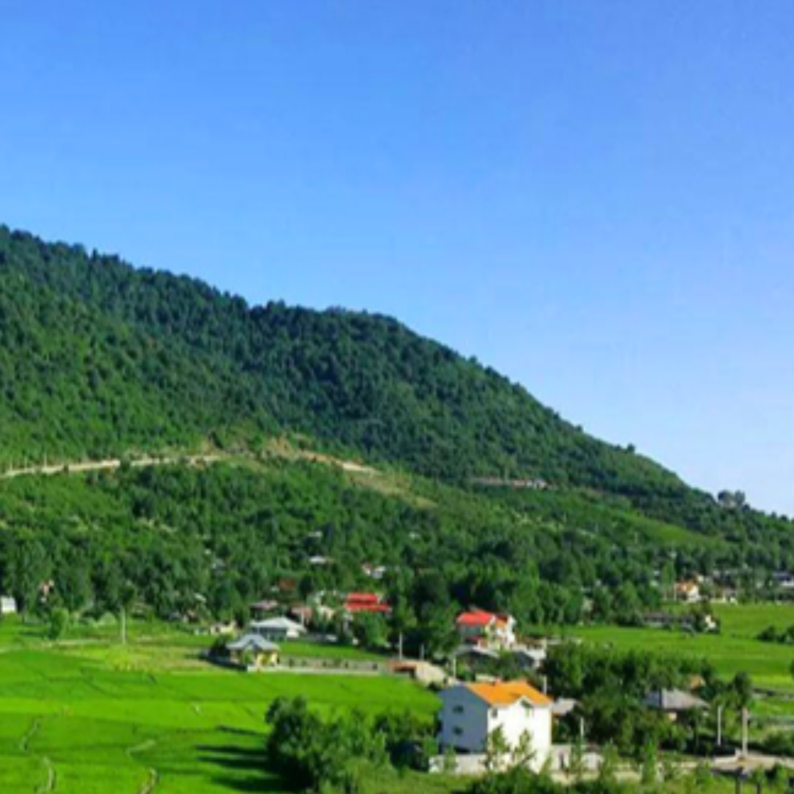 کاور شمالی هاش