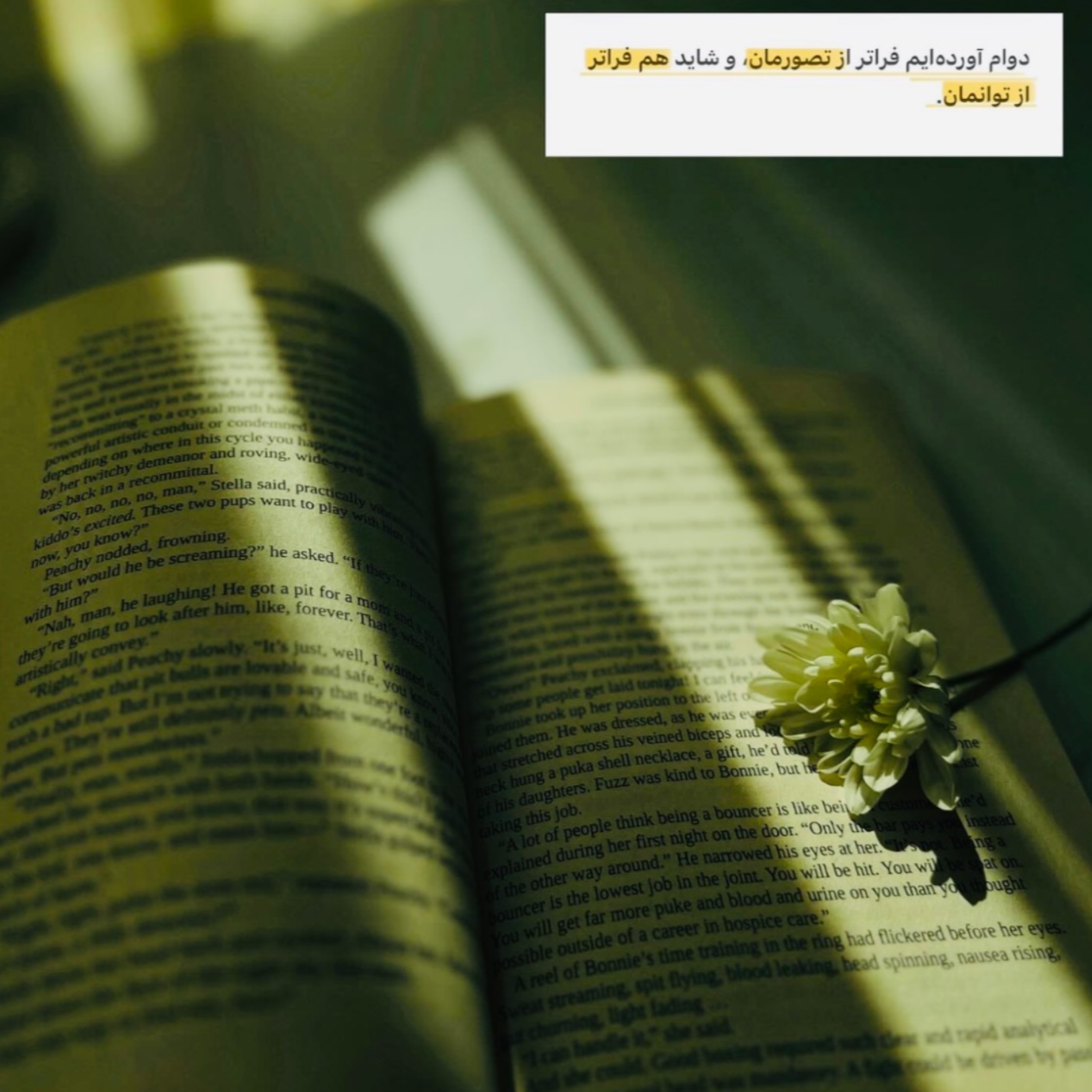 کاور خلاصه زندگی